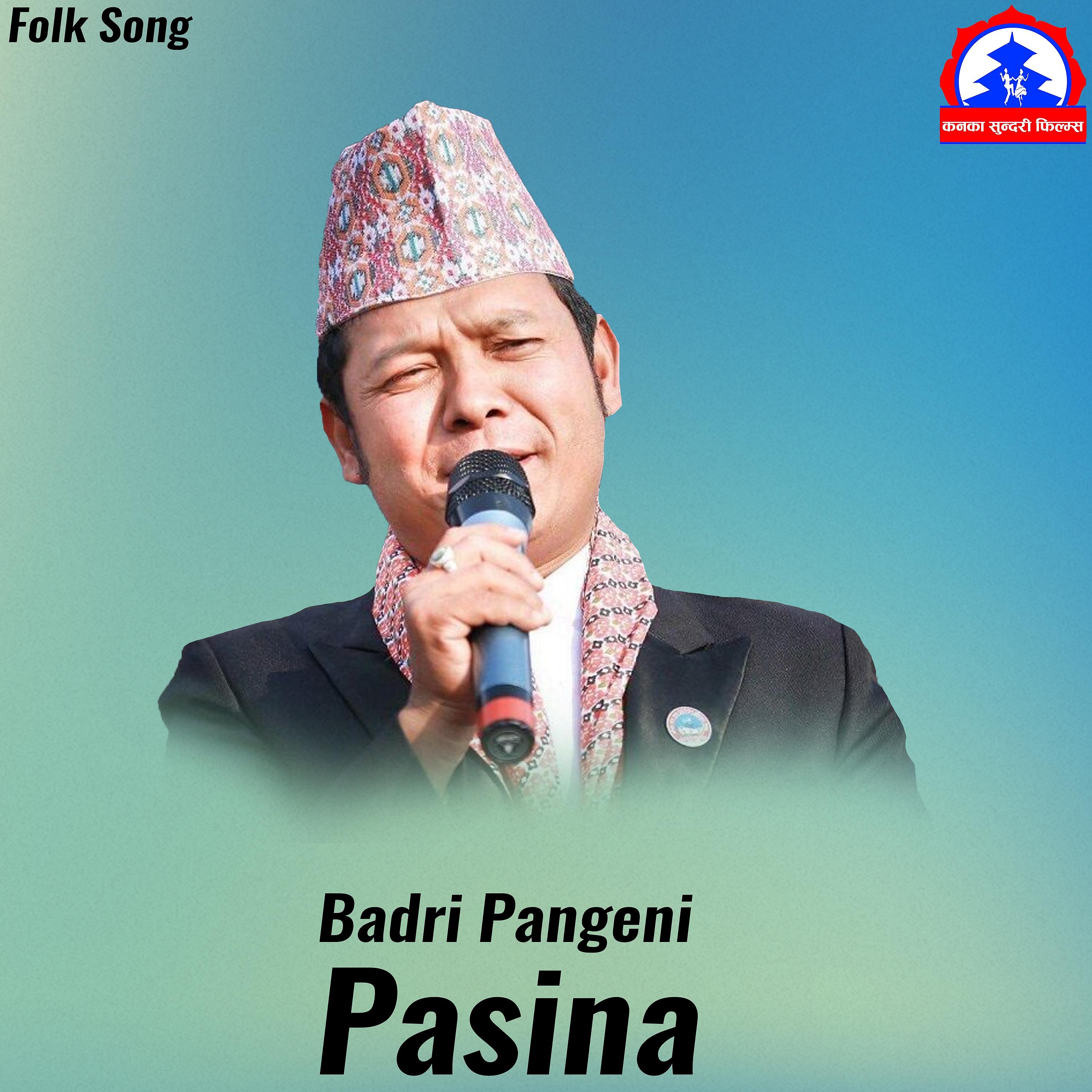 Постер альбома Pasina