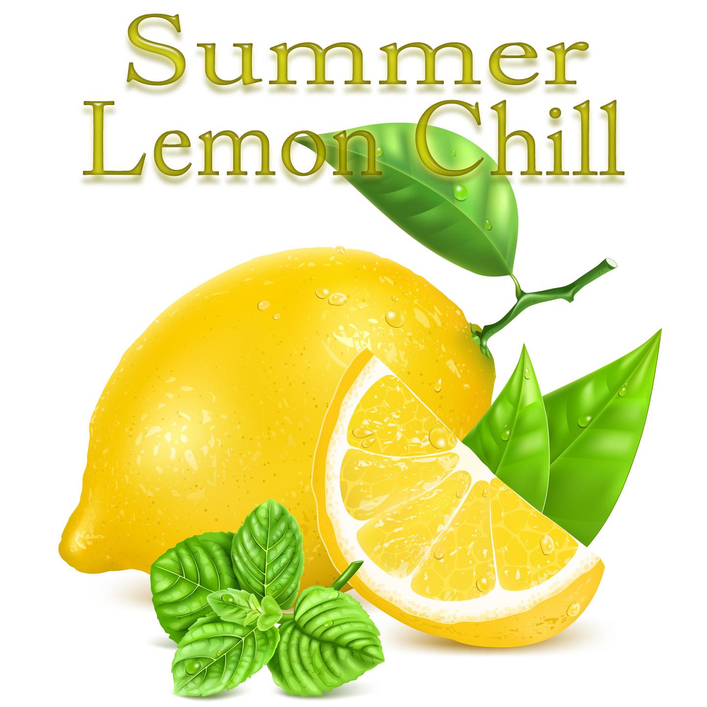 Постер альбома Summer Lemon Chill