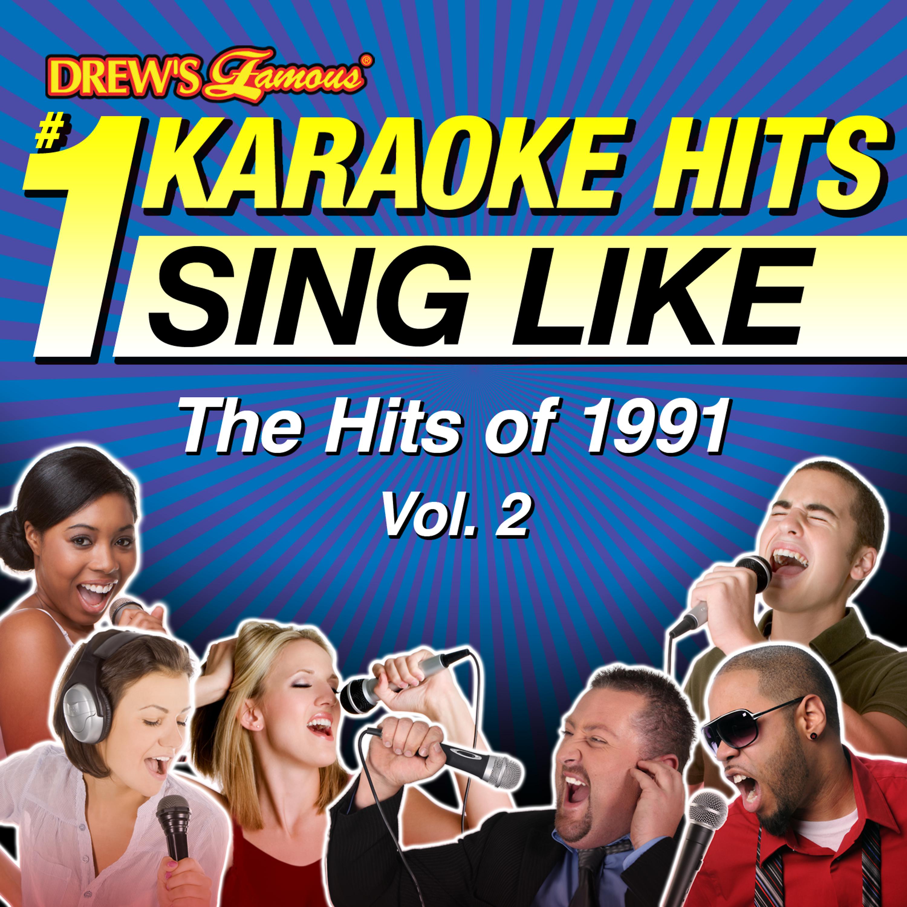 Постер альбома Drew's Famous #1 Karaoke Hits: Sing Like the Hits of 1991, Vol. 2