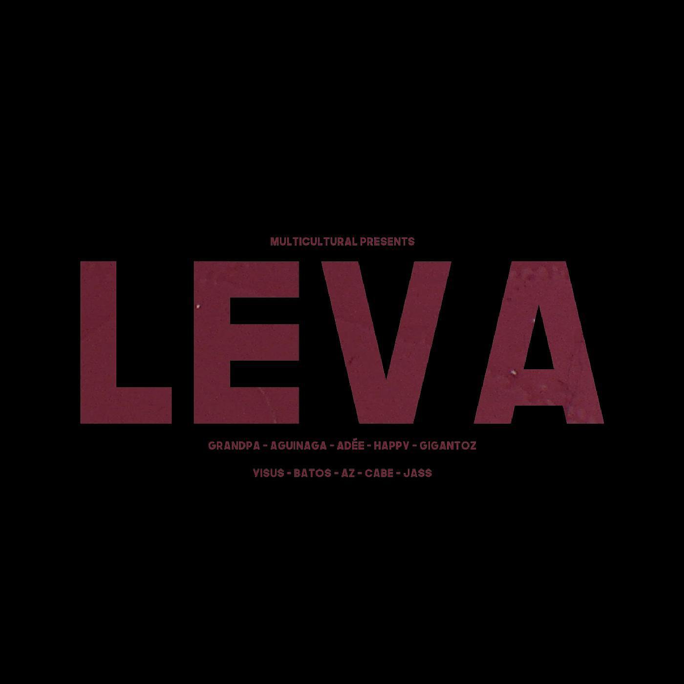 Постер альбома Leva