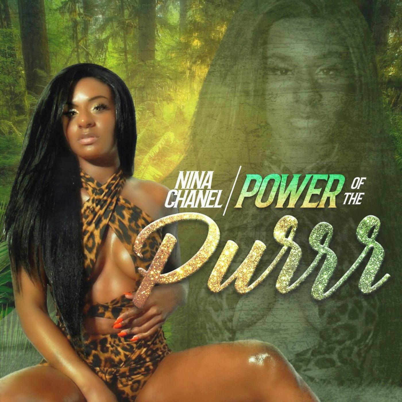 Постер альбома Power of the Purrr