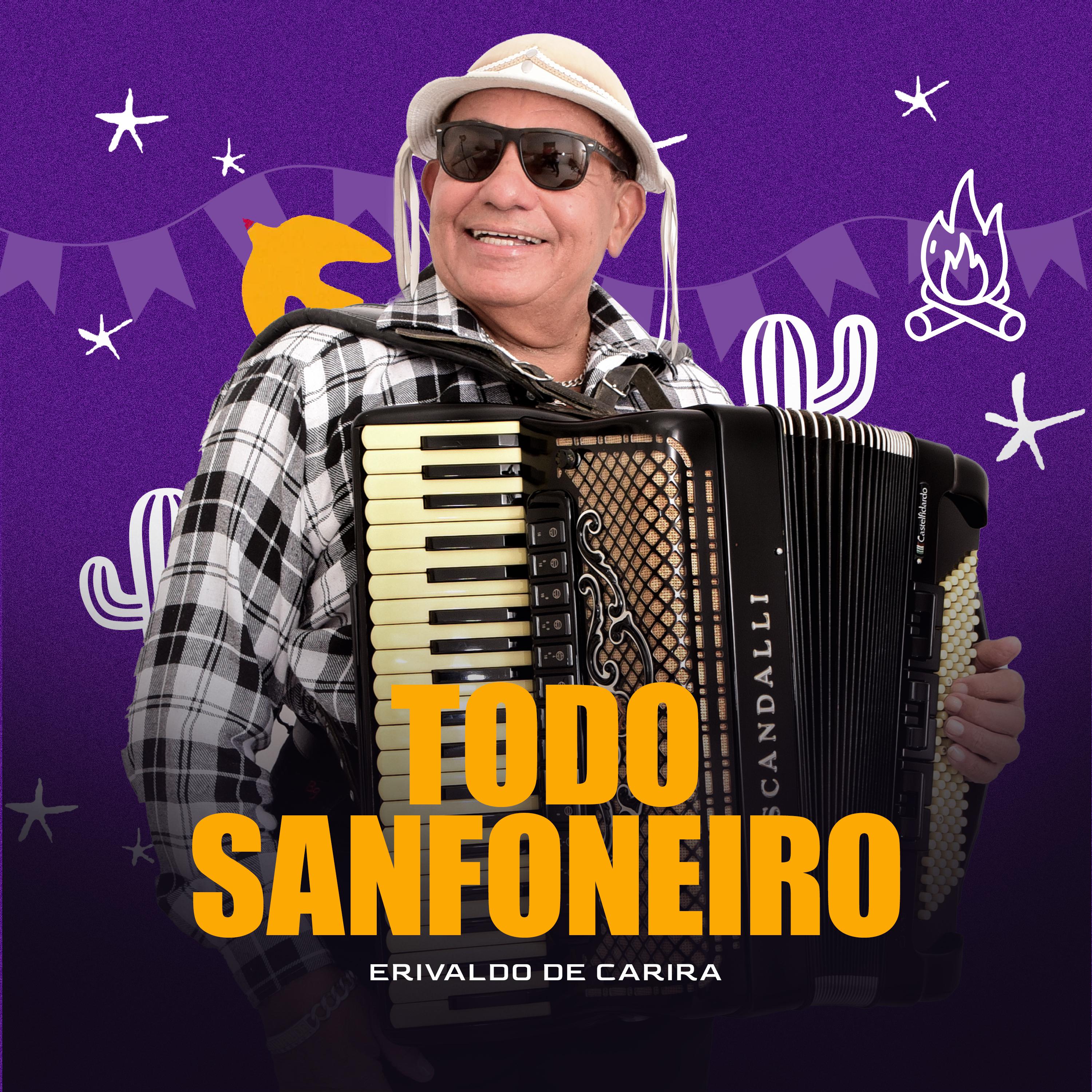 Постер альбома Todo Sanfoneiro