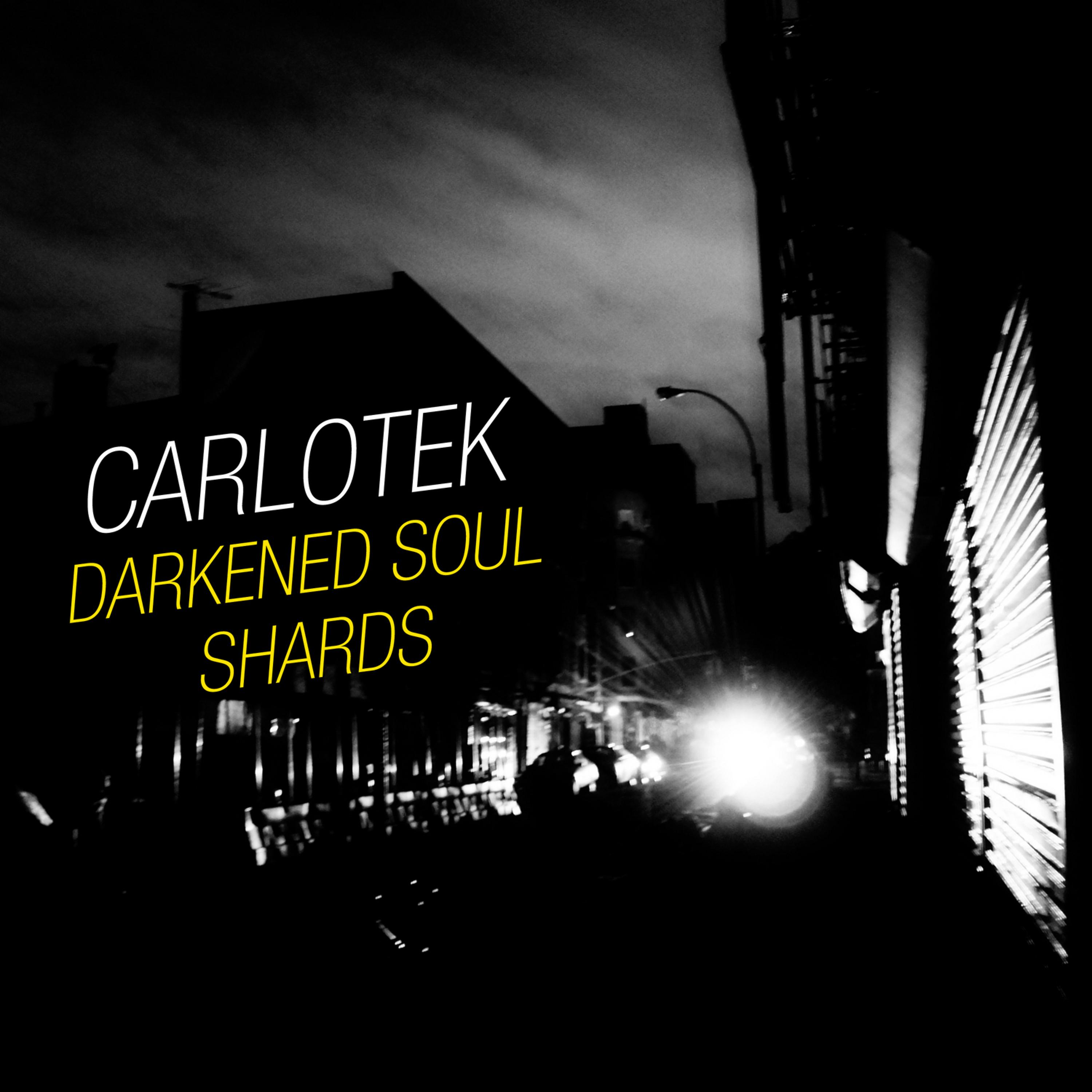 Постер альбома Darkened Soul / Shards