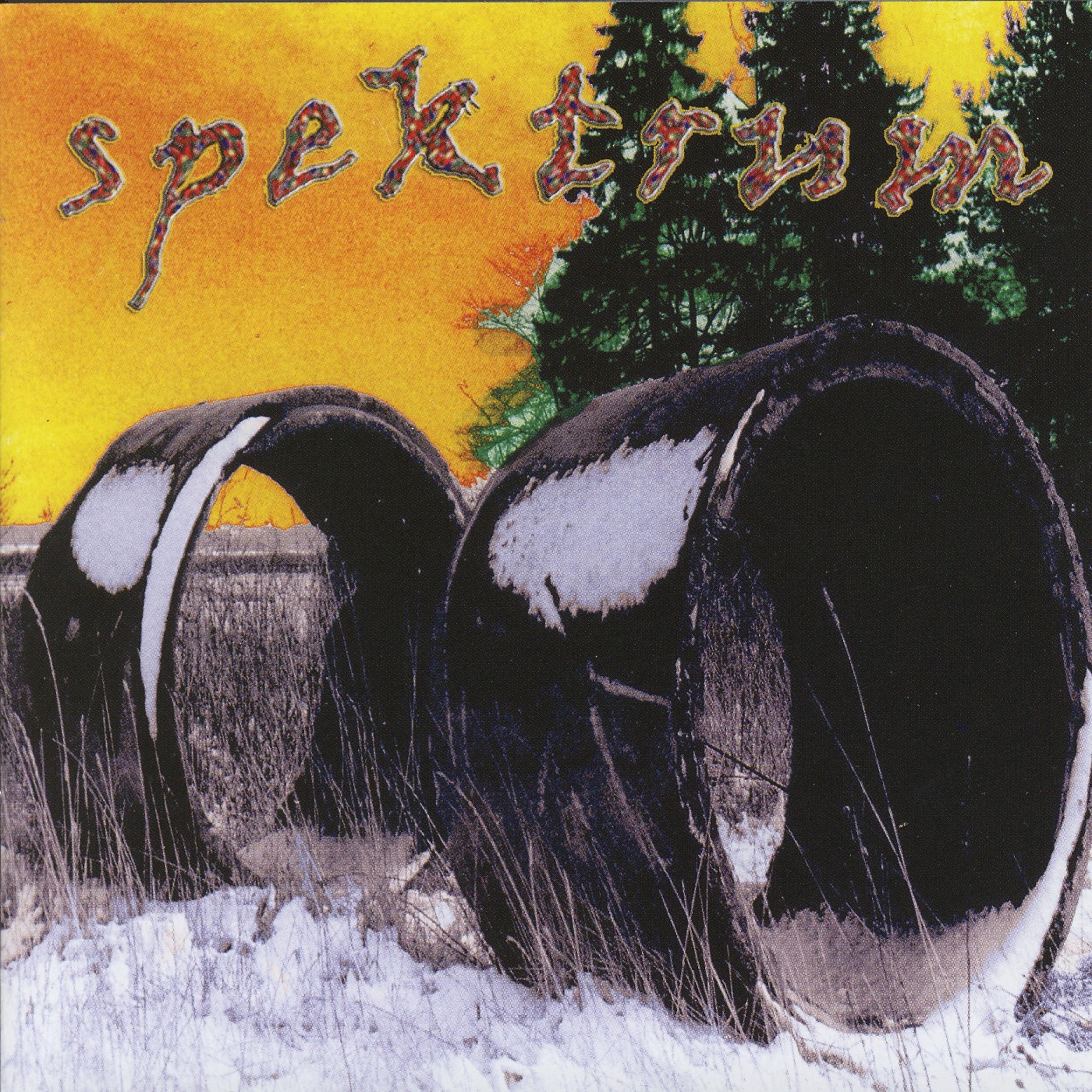 Постер альбома Spektrum