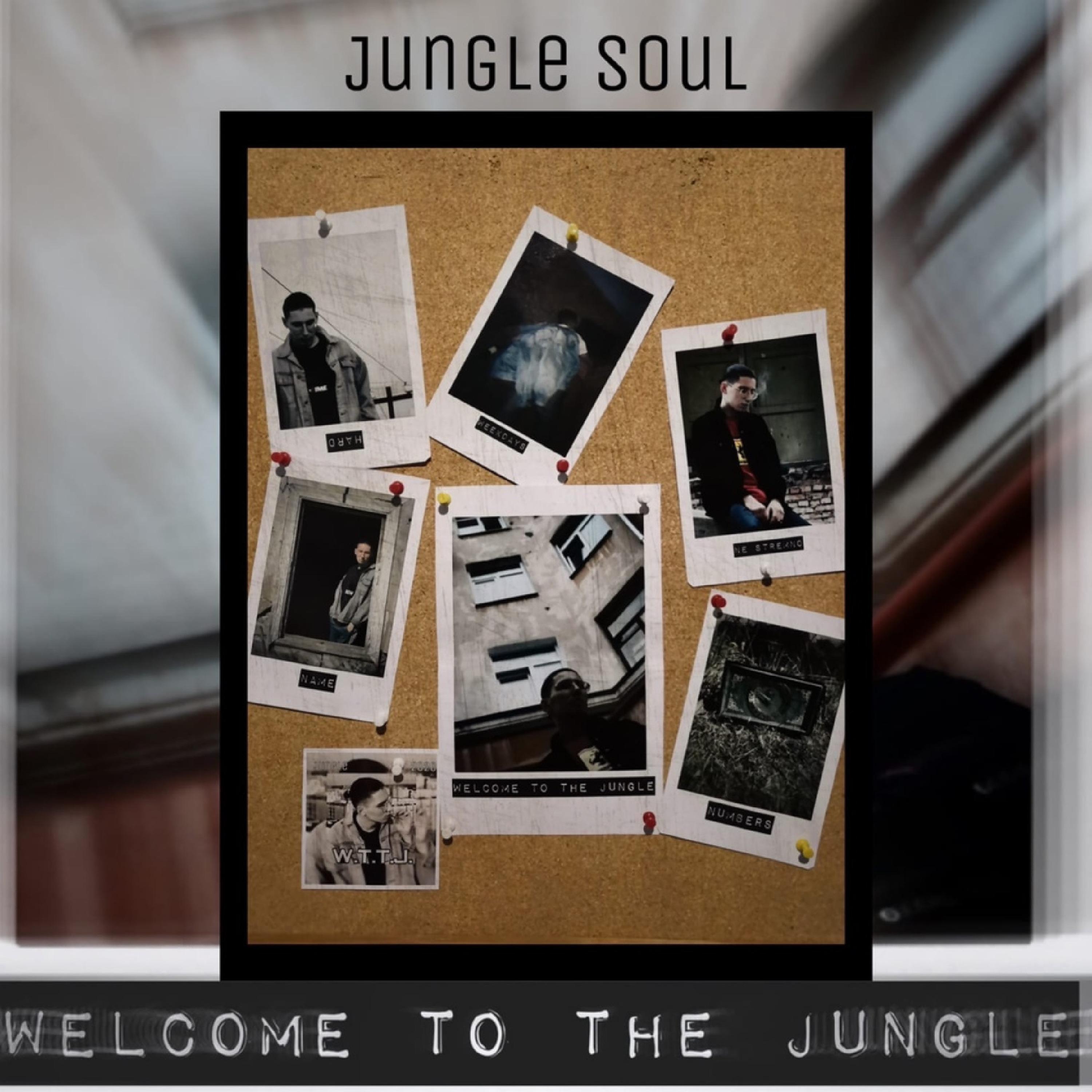 Постер альбома Welcome To The Jungle
