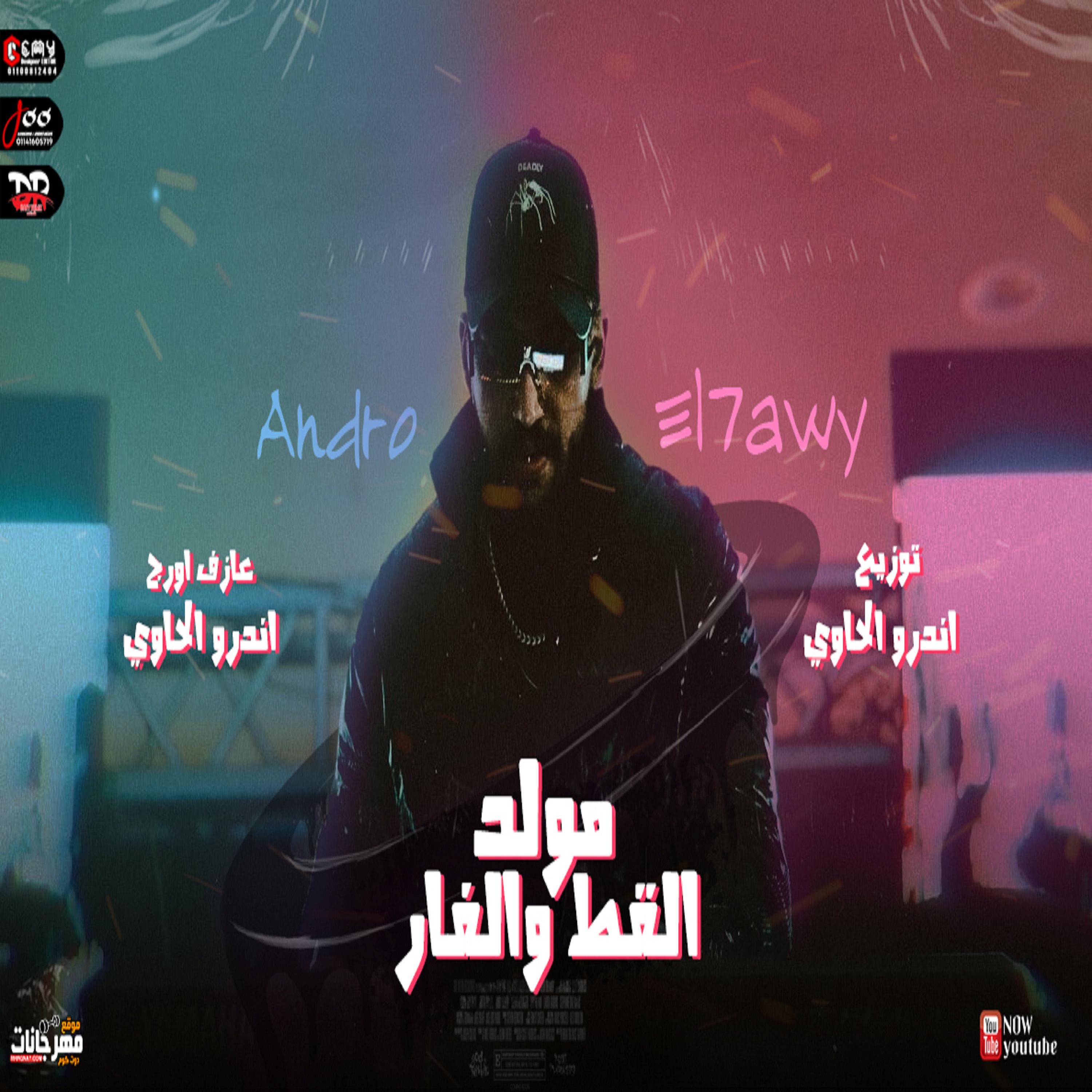 Постер альбома مولد القط والفار