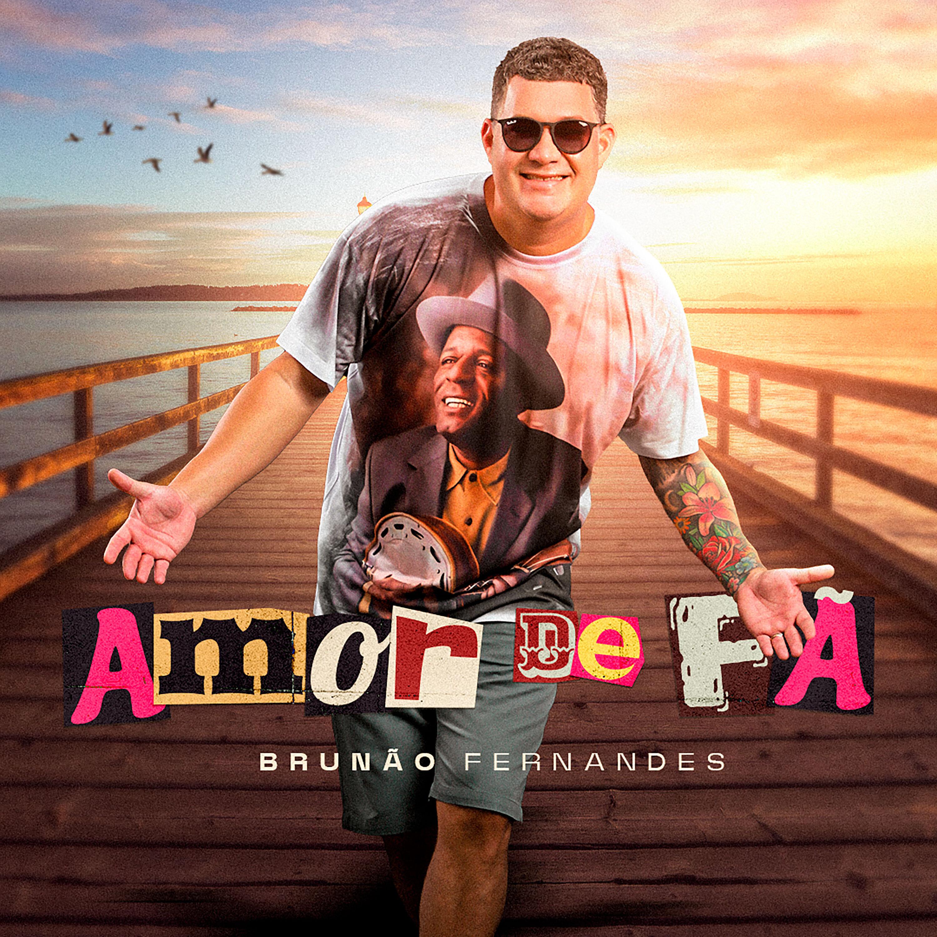 Постер альбома Amor de Fã