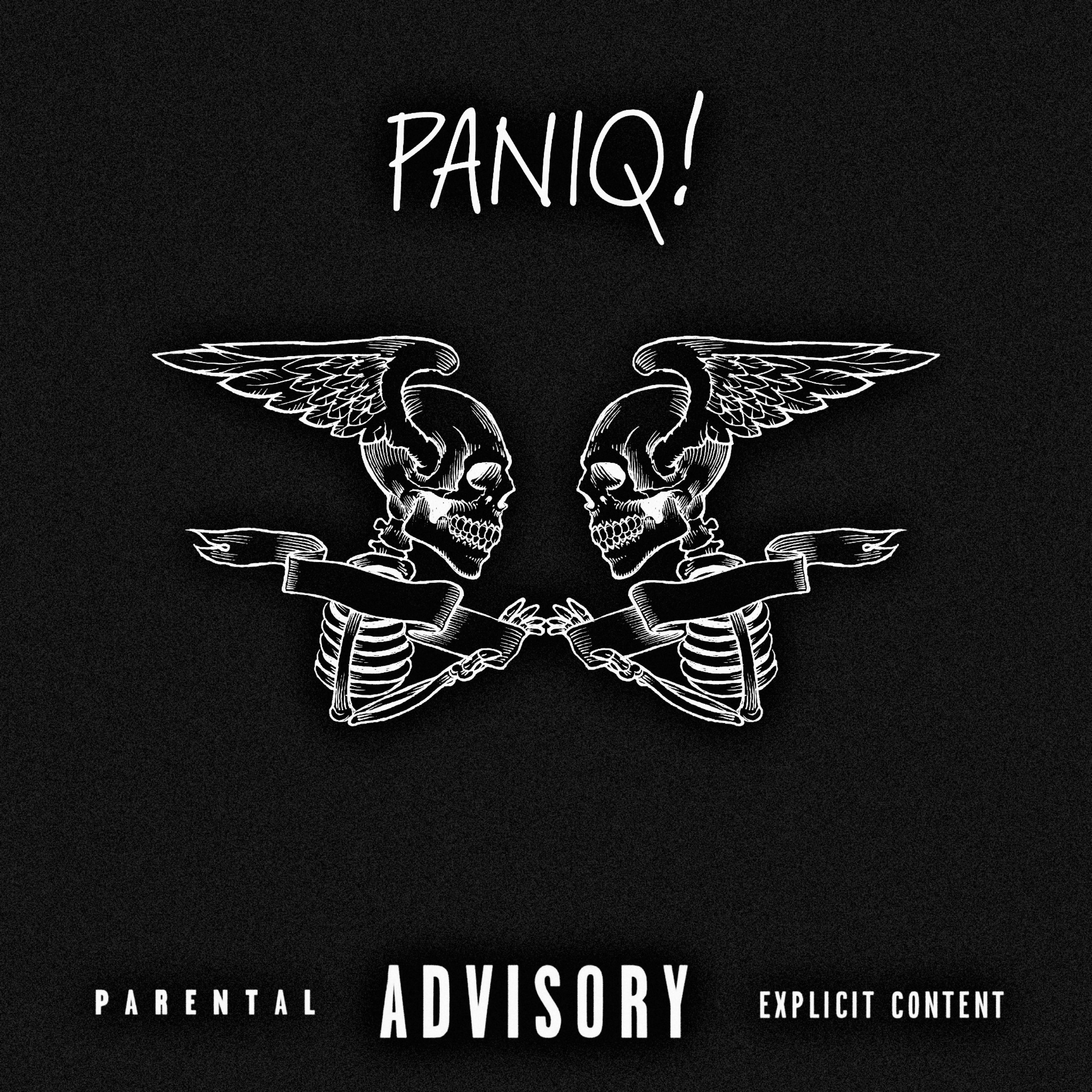 Постер альбома Paniq!