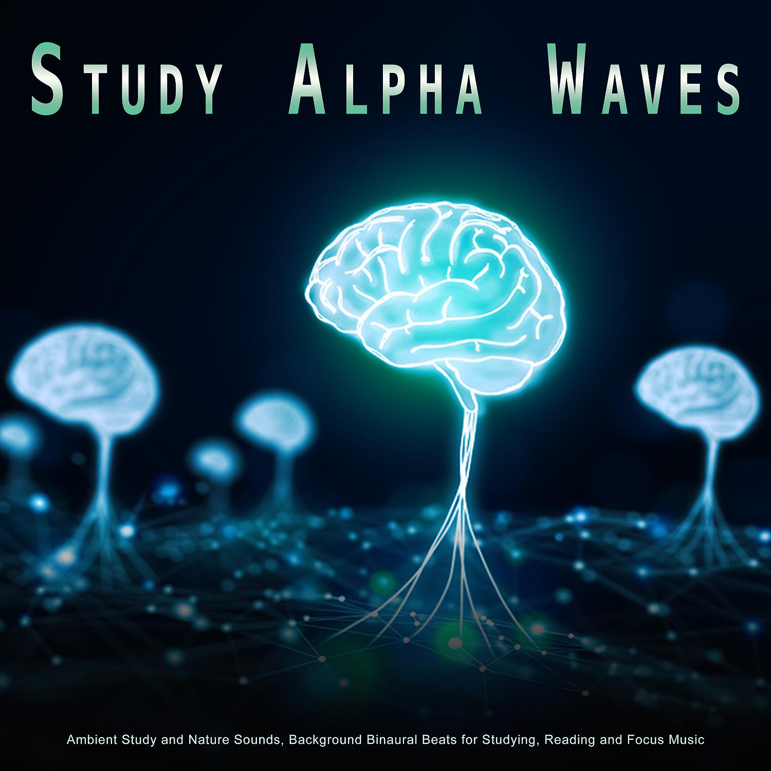 Постер альбома Study Alpha Waves: Ambient Study and Nature Sounds, Background Binaural Beats for Studying, Reading and Focus Music