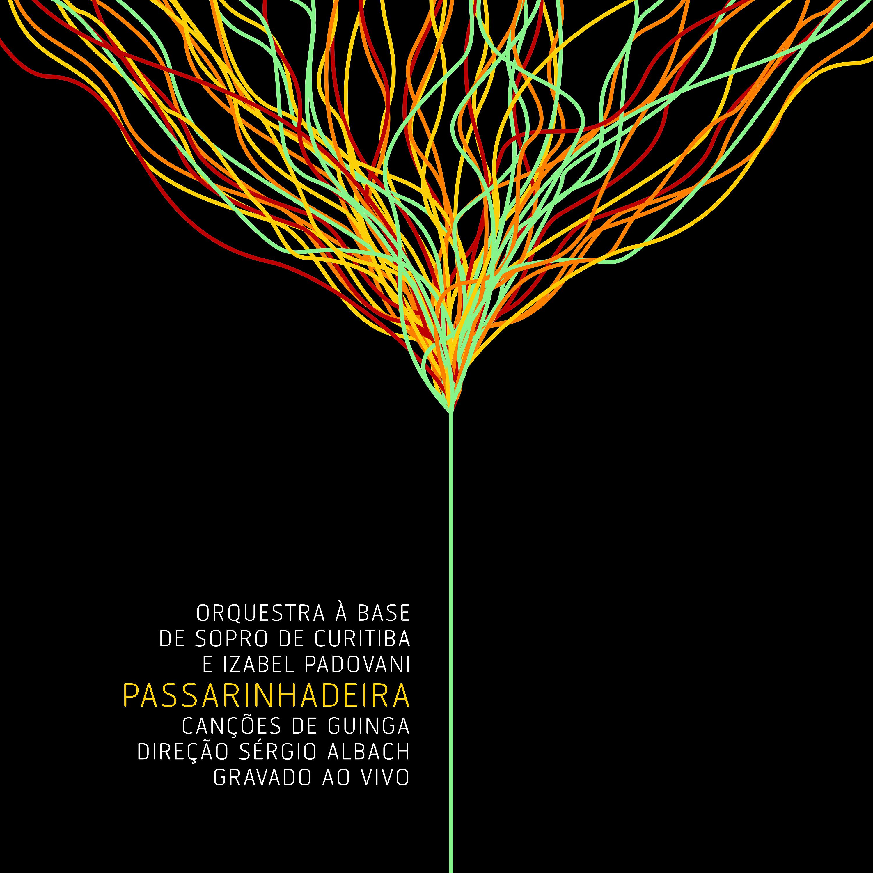 Постер альбома Passarinhadeira - Ao Vivo
