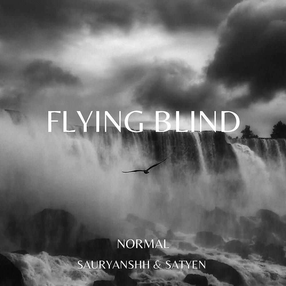 Постер альбома Flying Blind