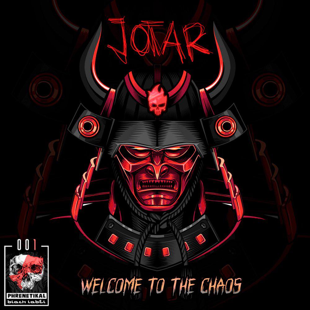 Постер альбома Welcome To The Chaos