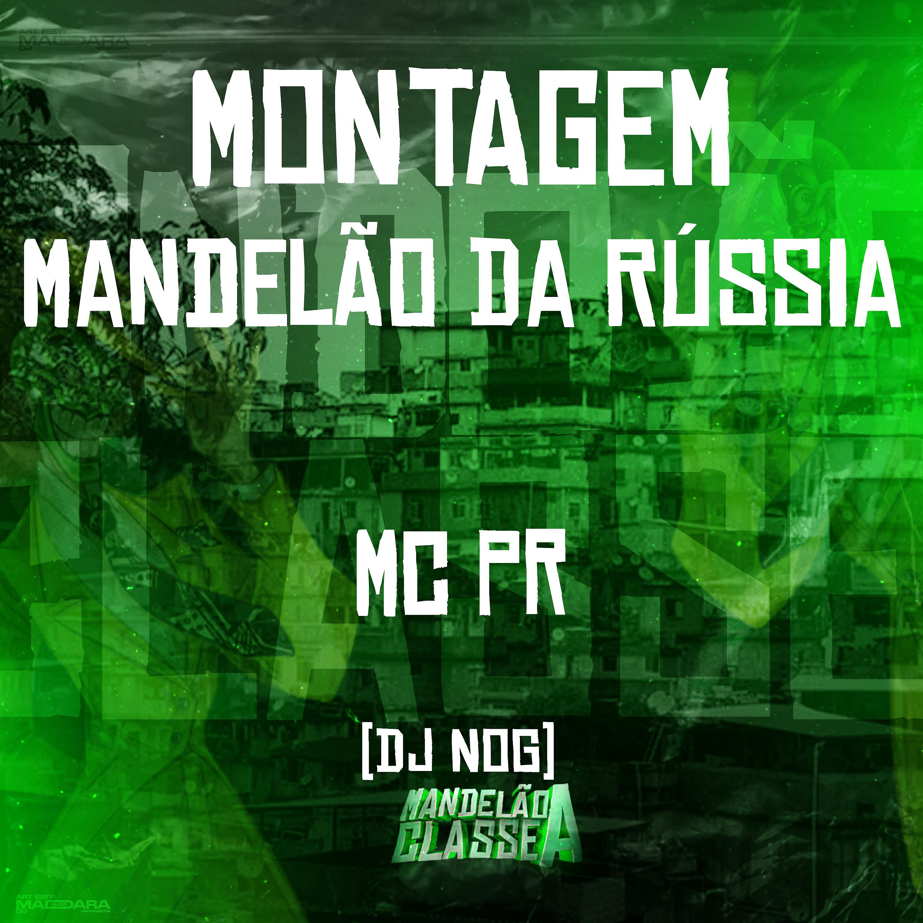 Постер альбома Montagem - Mandelão da Rússia