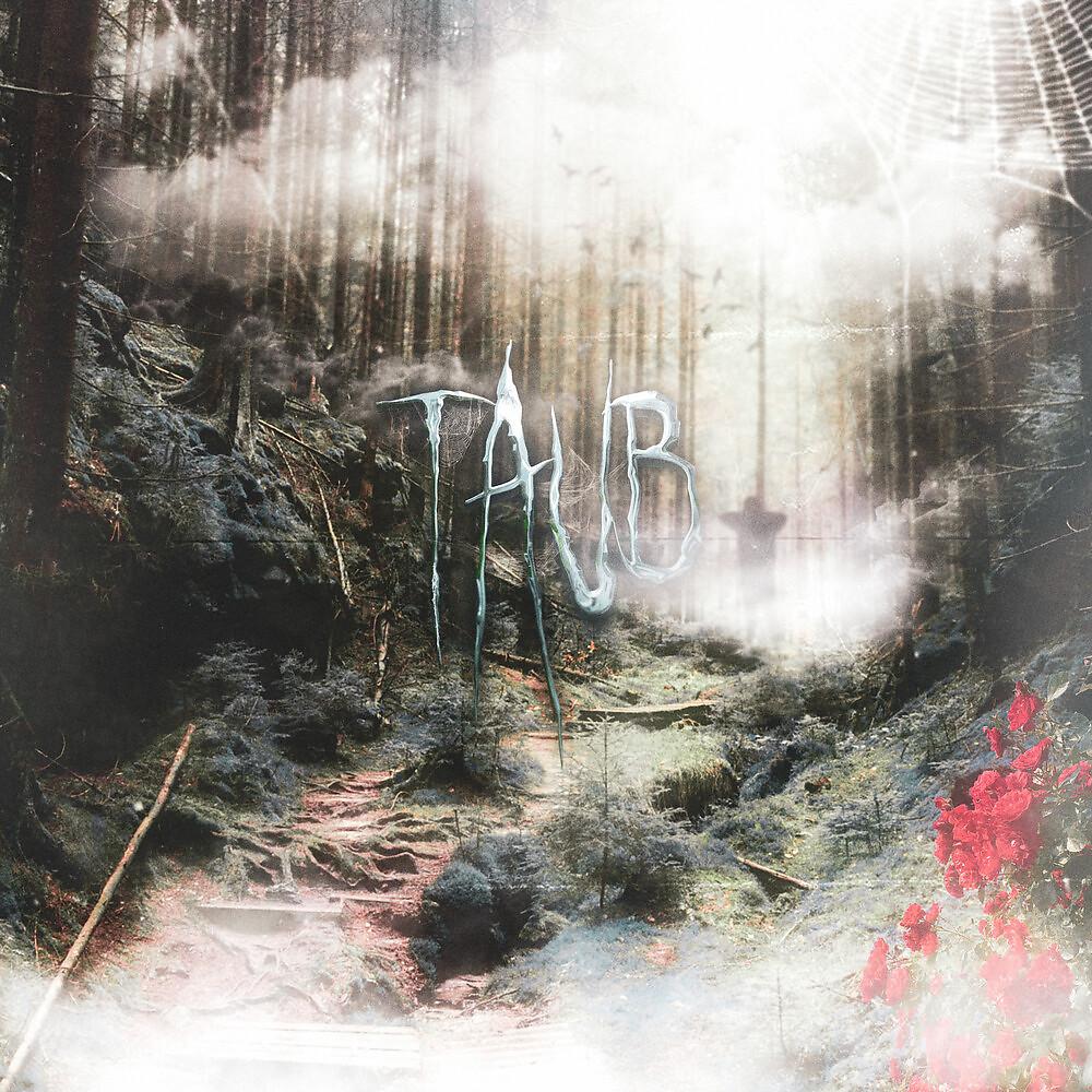 Постер альбома Taub