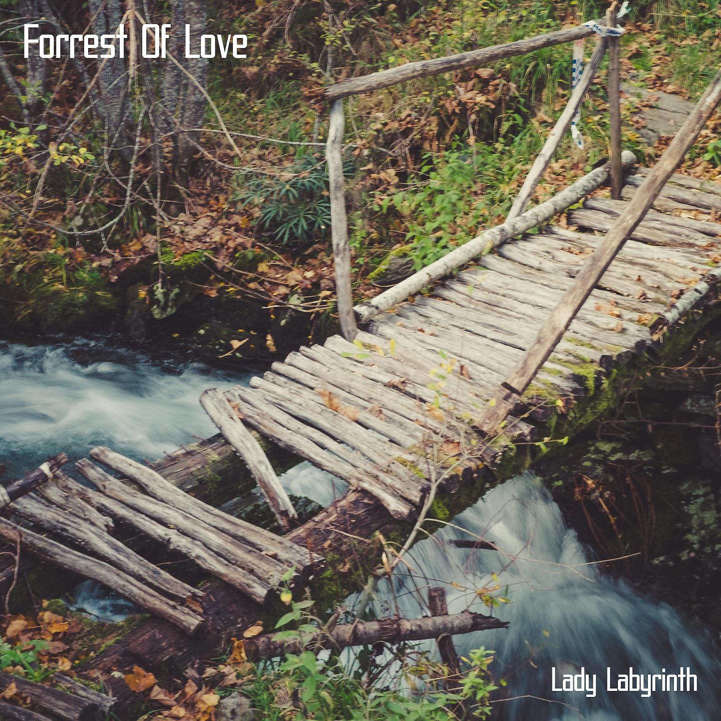 Постер альбома Forrest Of Love
