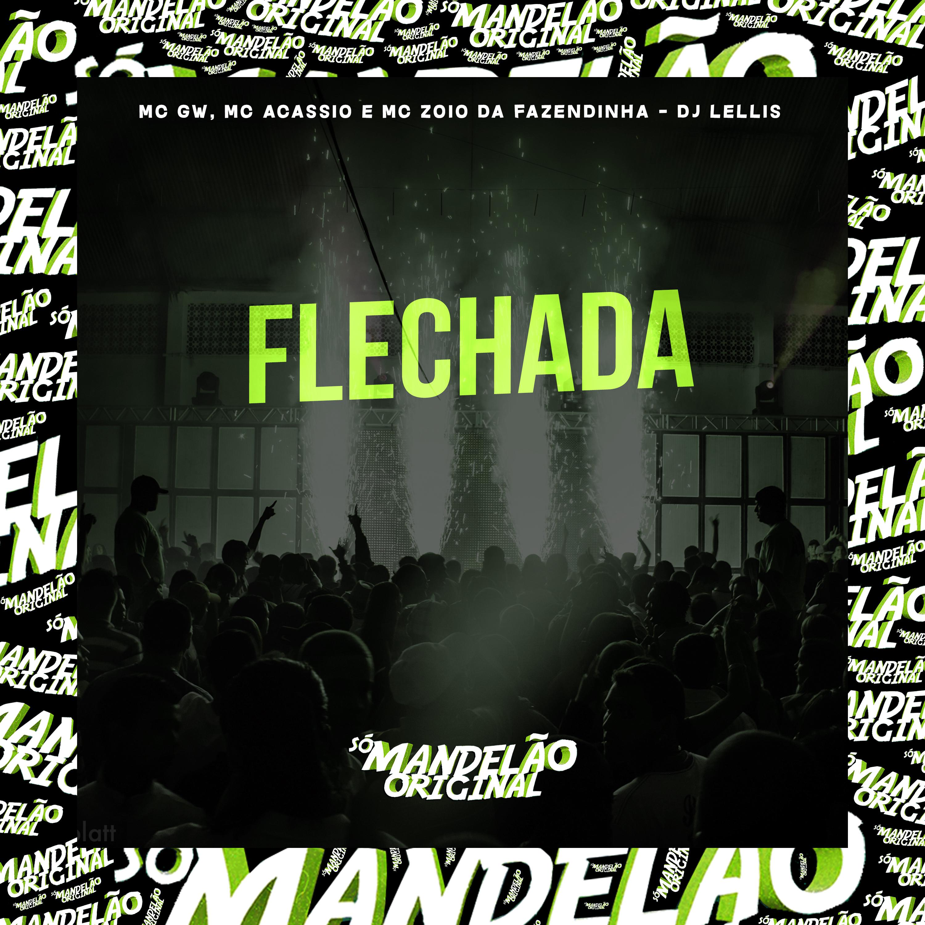 Постер альбома Flechada