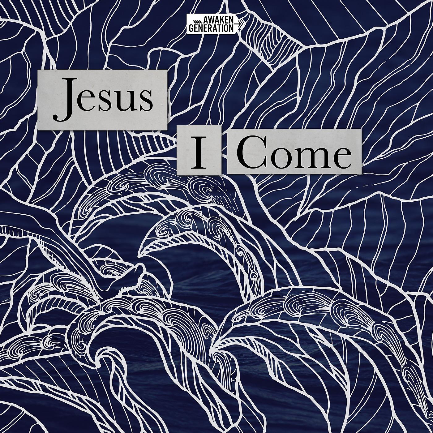 Постер альбома Jesus I Come
