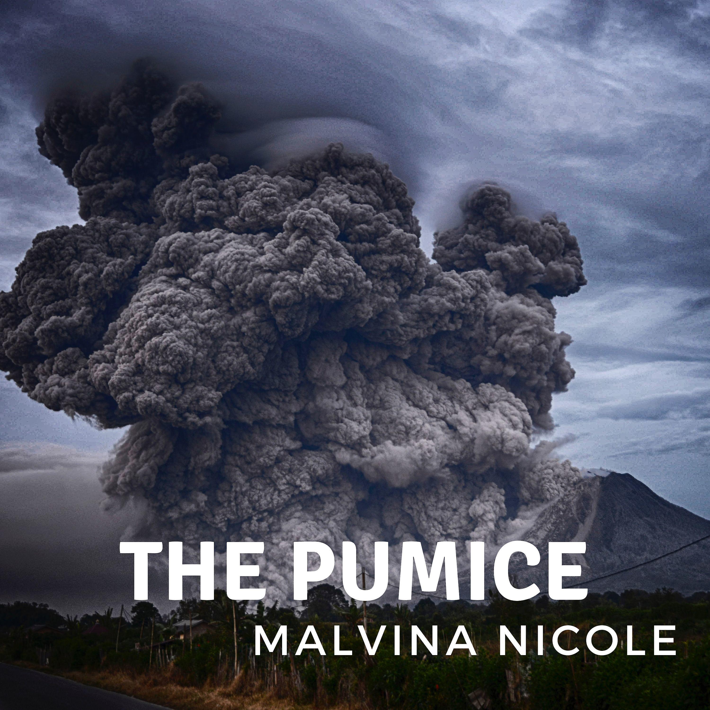 Постер альбома The Pumice