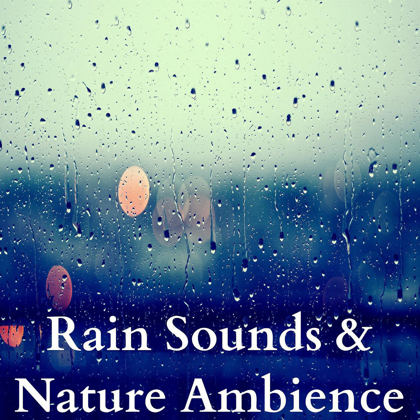 Постер альбома Rain Sounds & Nature Ambience (Rivers, Birds & Springtime Sounds)