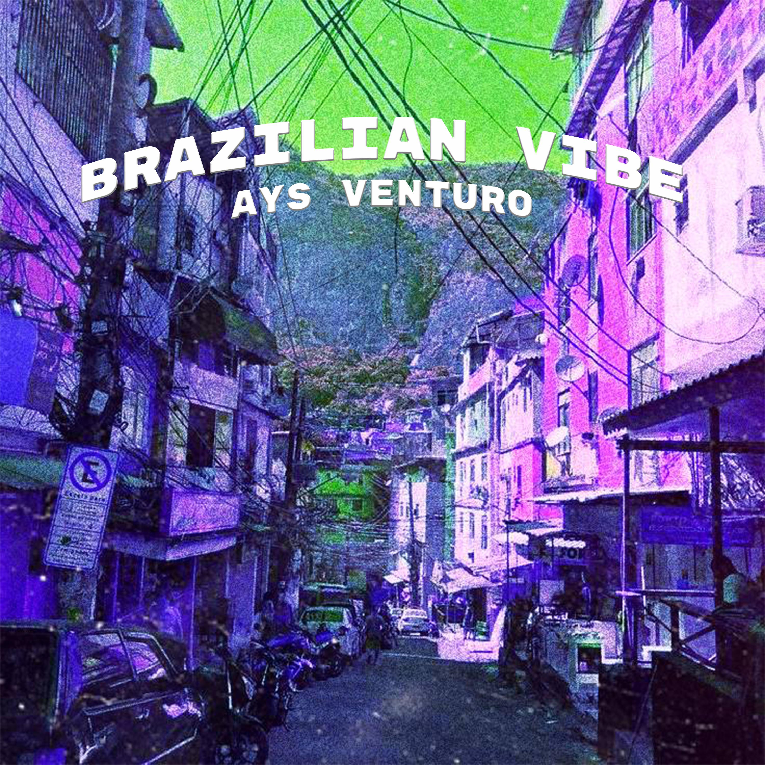 Постер альбома Brazilian Vibe