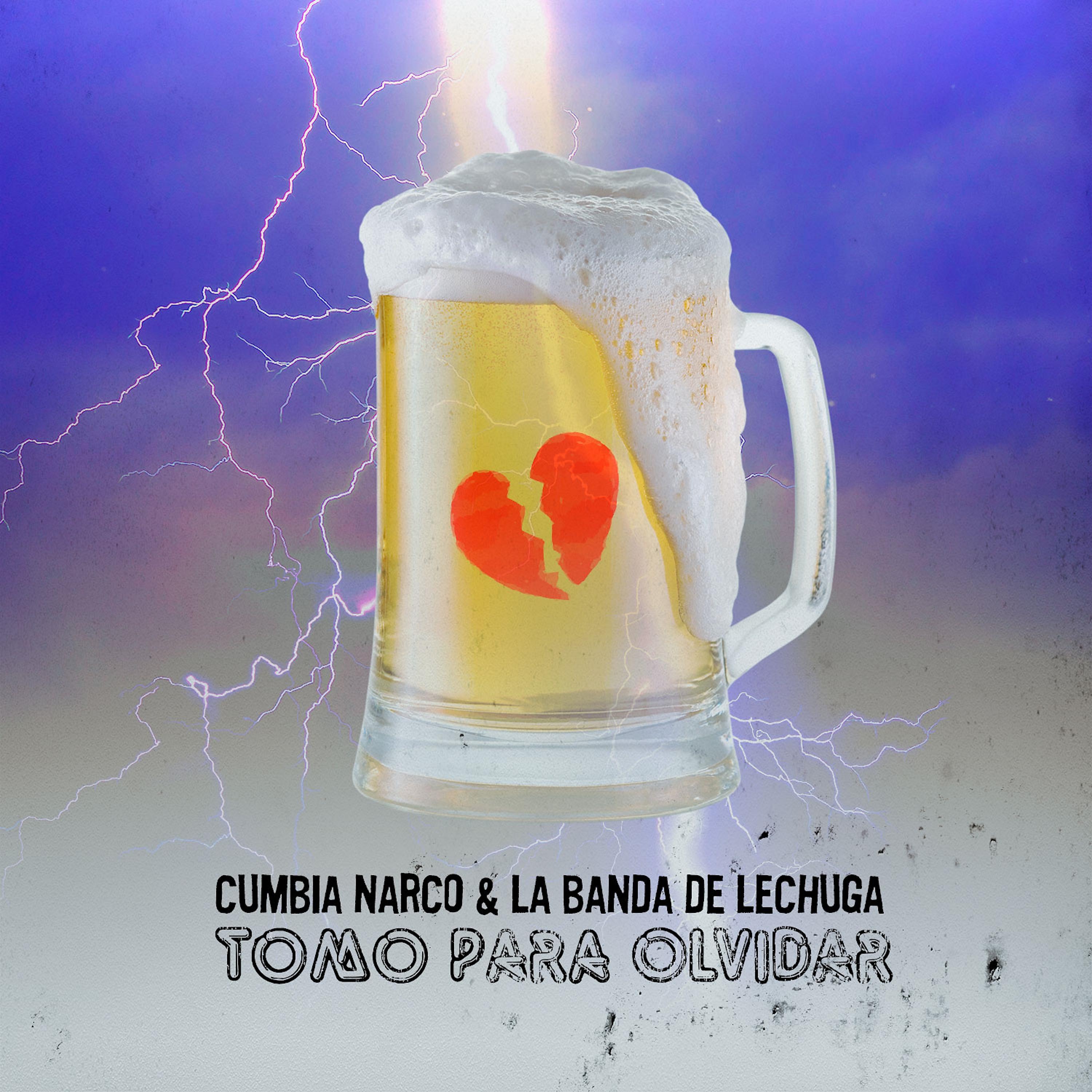 Постер альбома Tomo para Olvidar