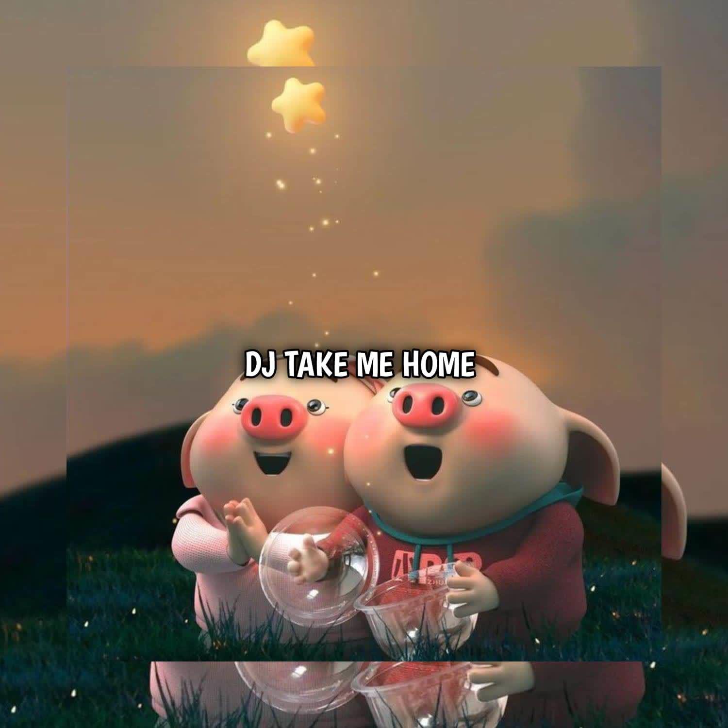 Постер альбома DJ Take Me Home