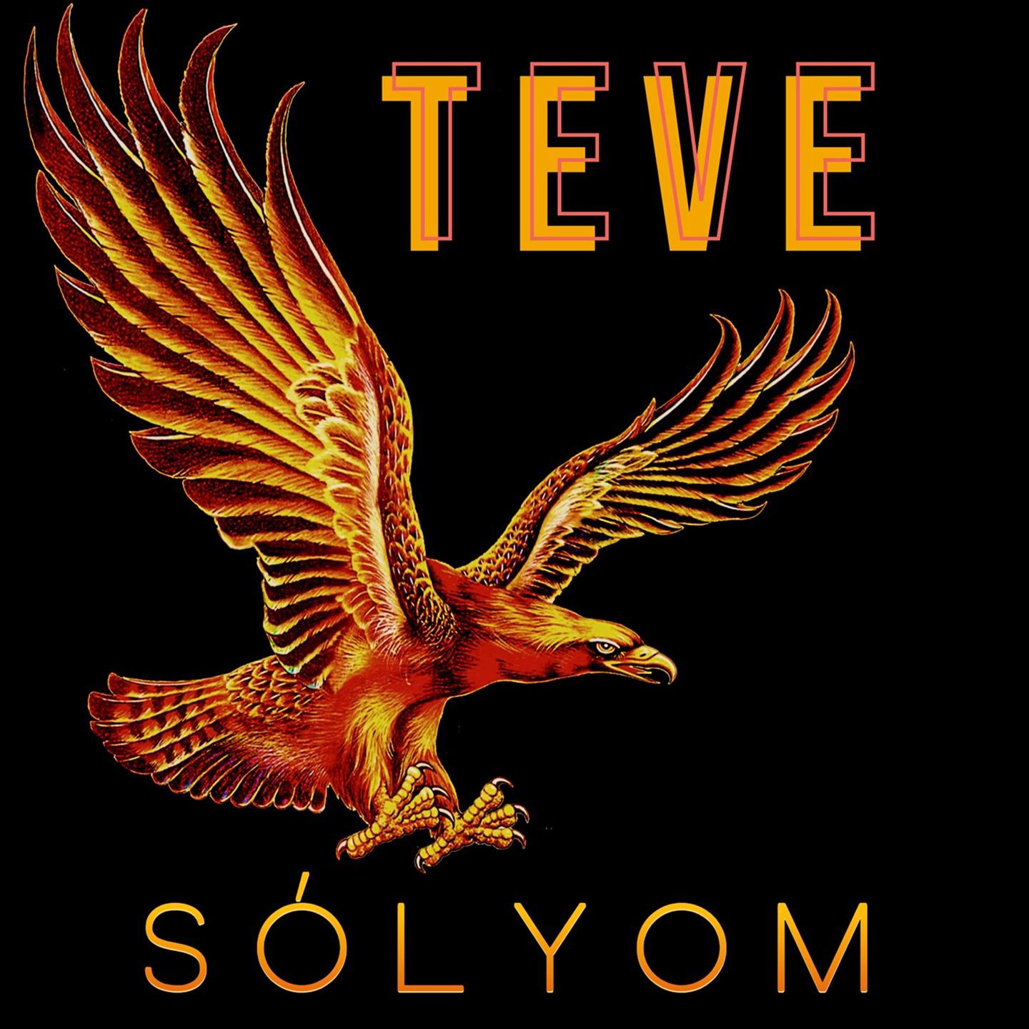 Постер альбома Sólyom