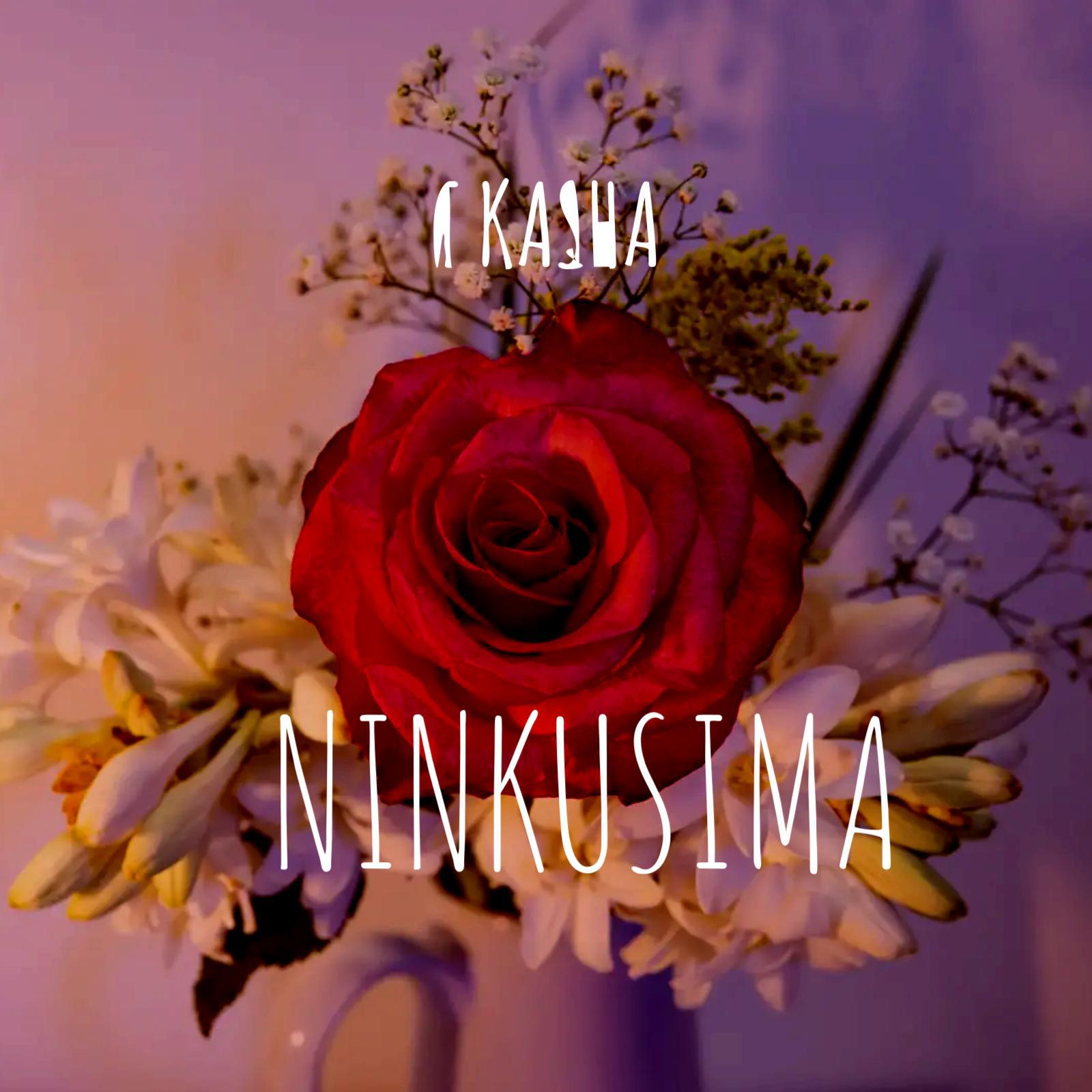 Постер альбома Ninkusima