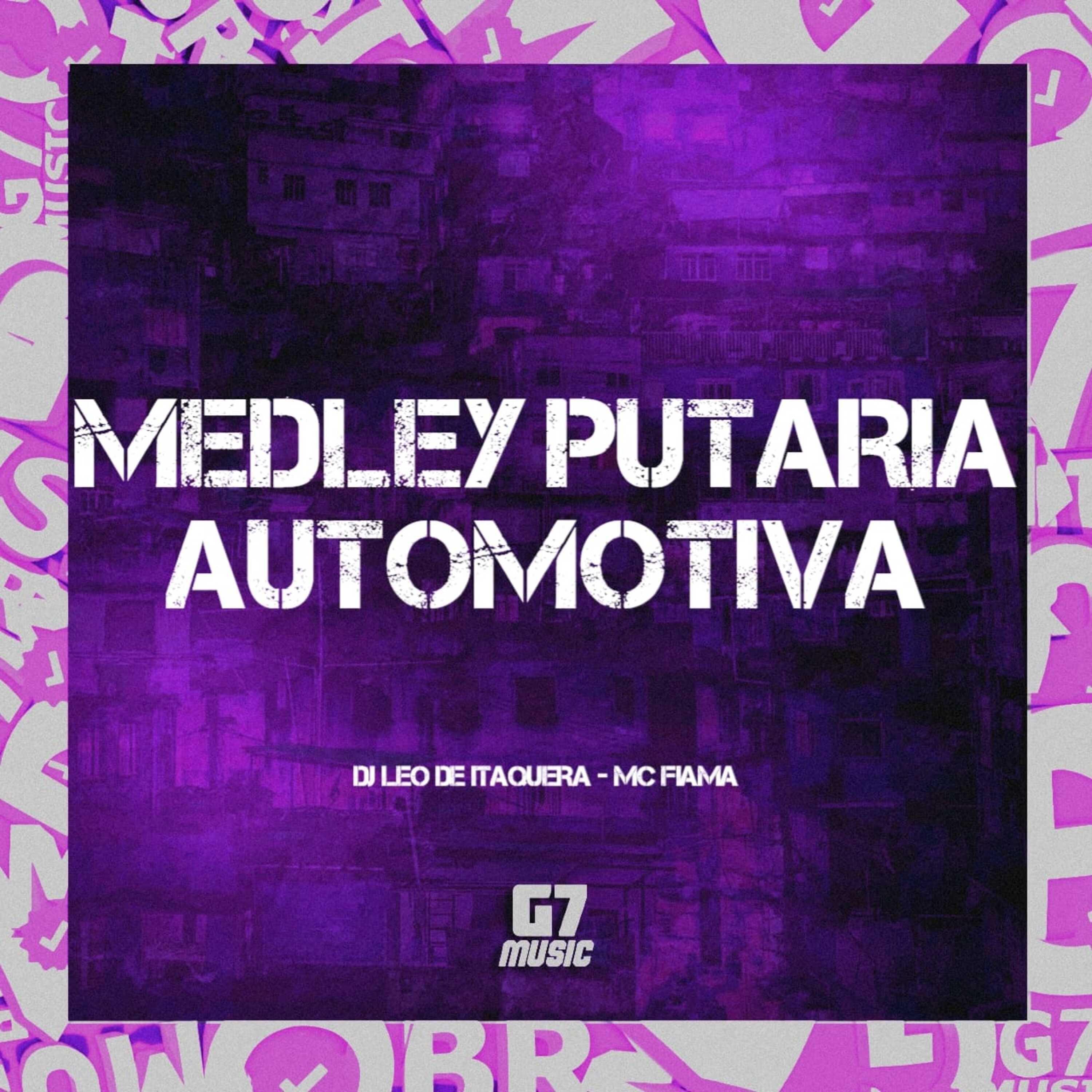 Постер альбома Medley Putaria Automotiva