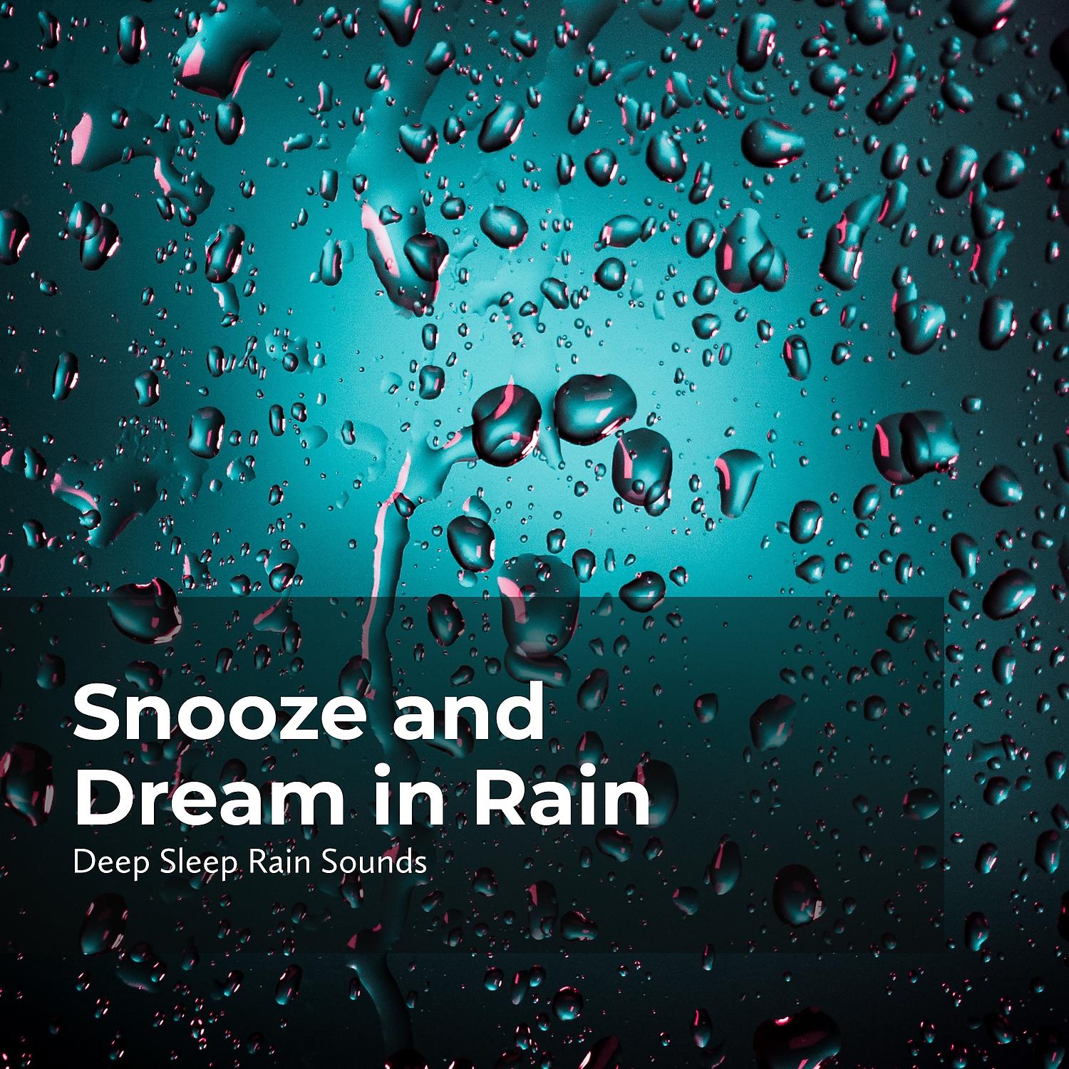 Постер альбома Snooze and Dream in Rain