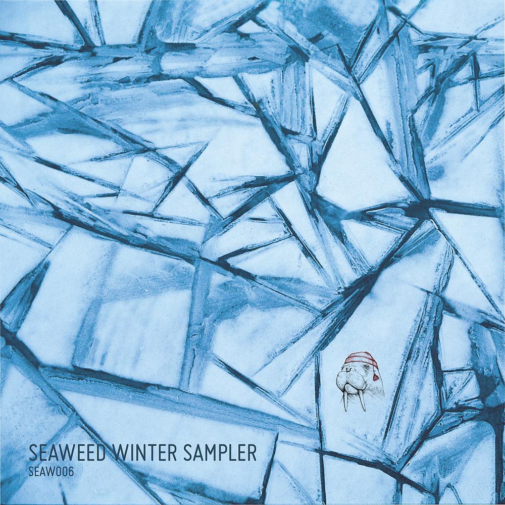 Постер альбома Seaweed Winter Sampler