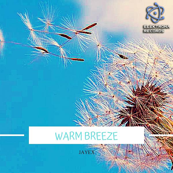 Постер альбома Warm Breeze