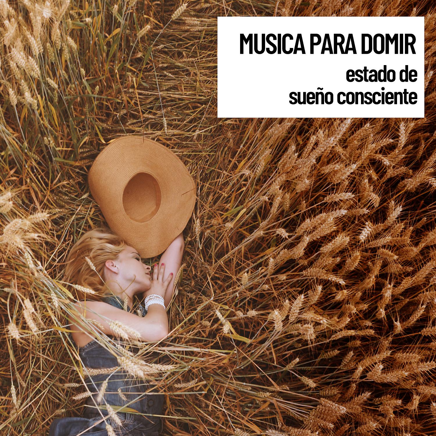 Постер альбома Relajacion: Sonidos Musica para domir, estado de sue–o consciente