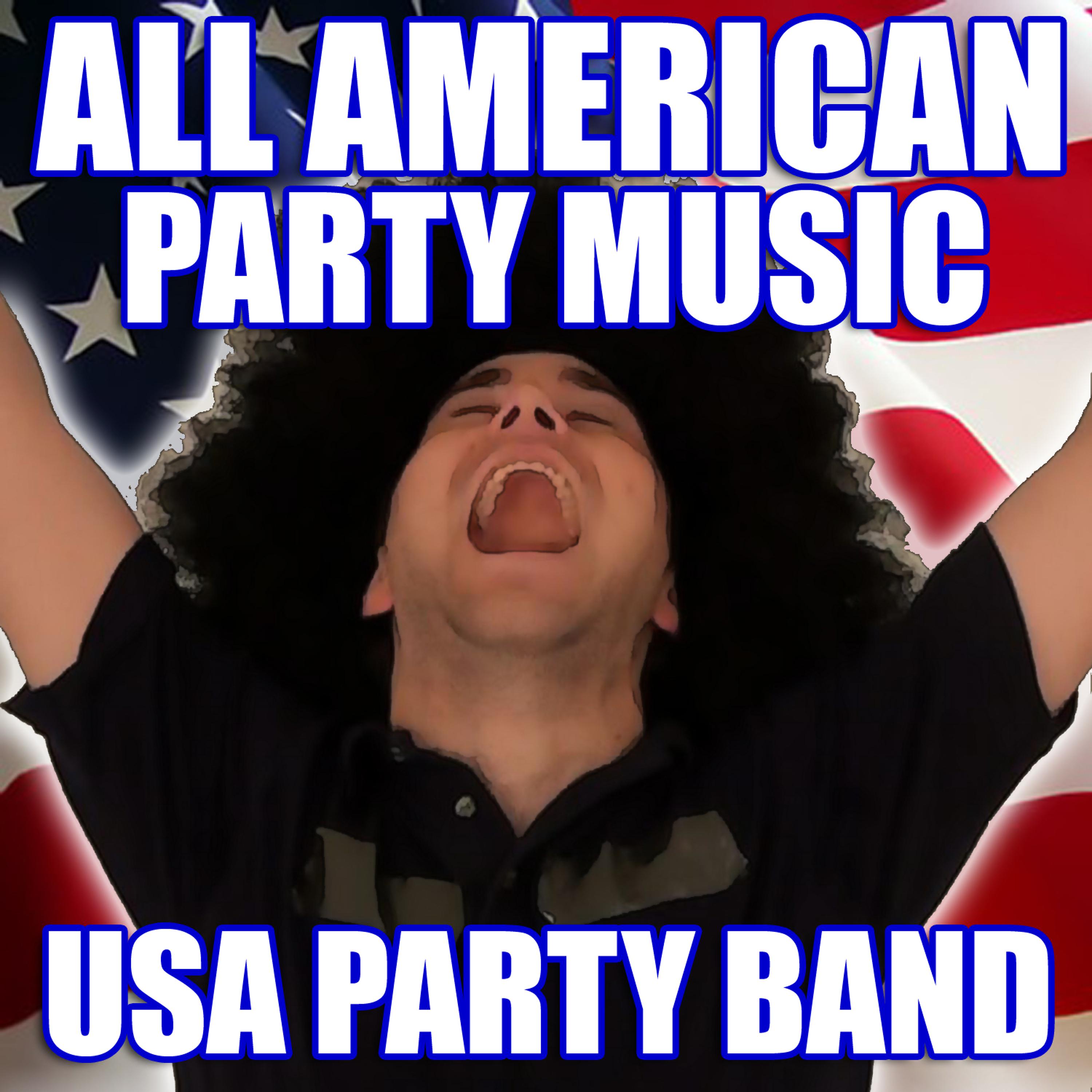 Постер альбома All American Party Music