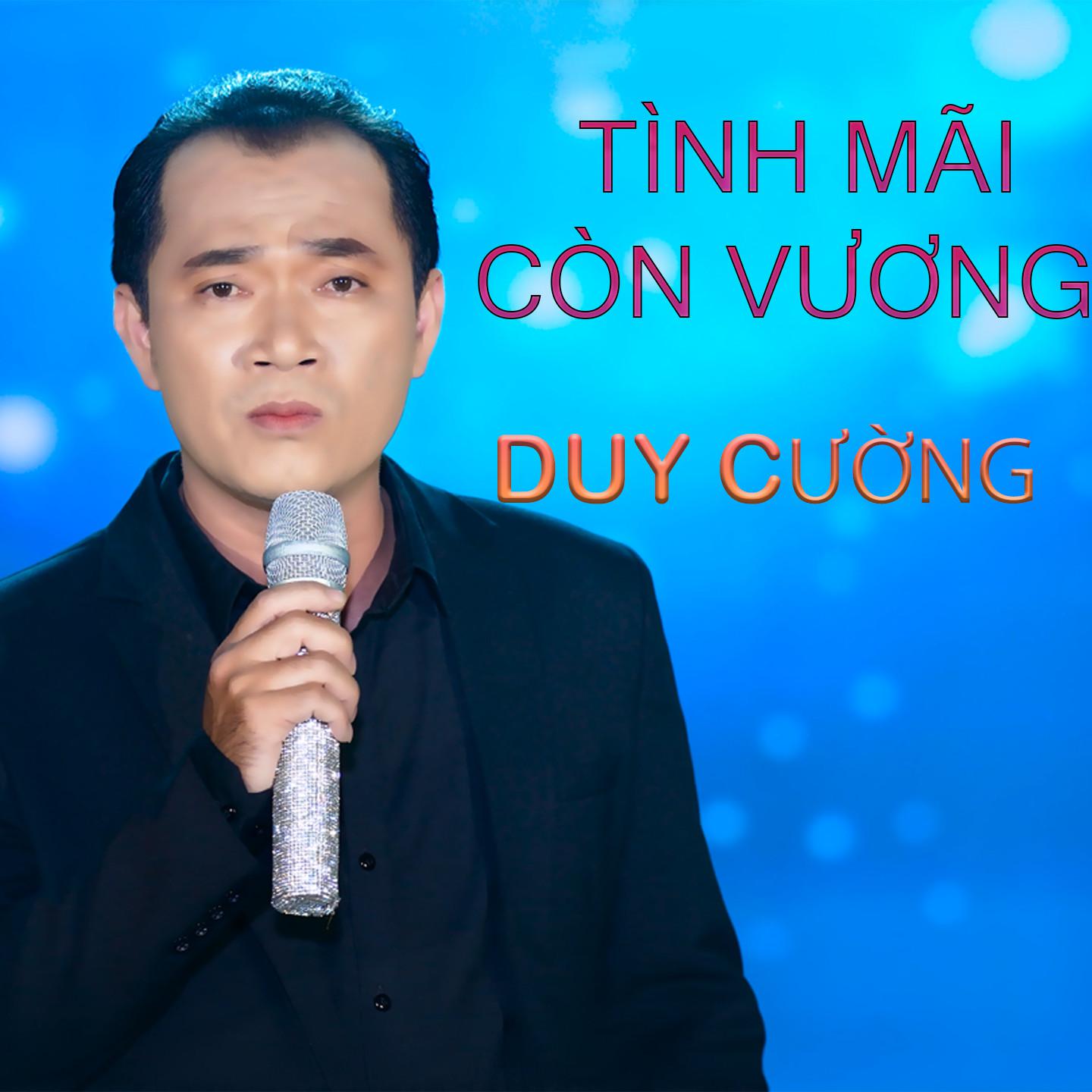 Постер альбома Tình Mãi Còn Vương