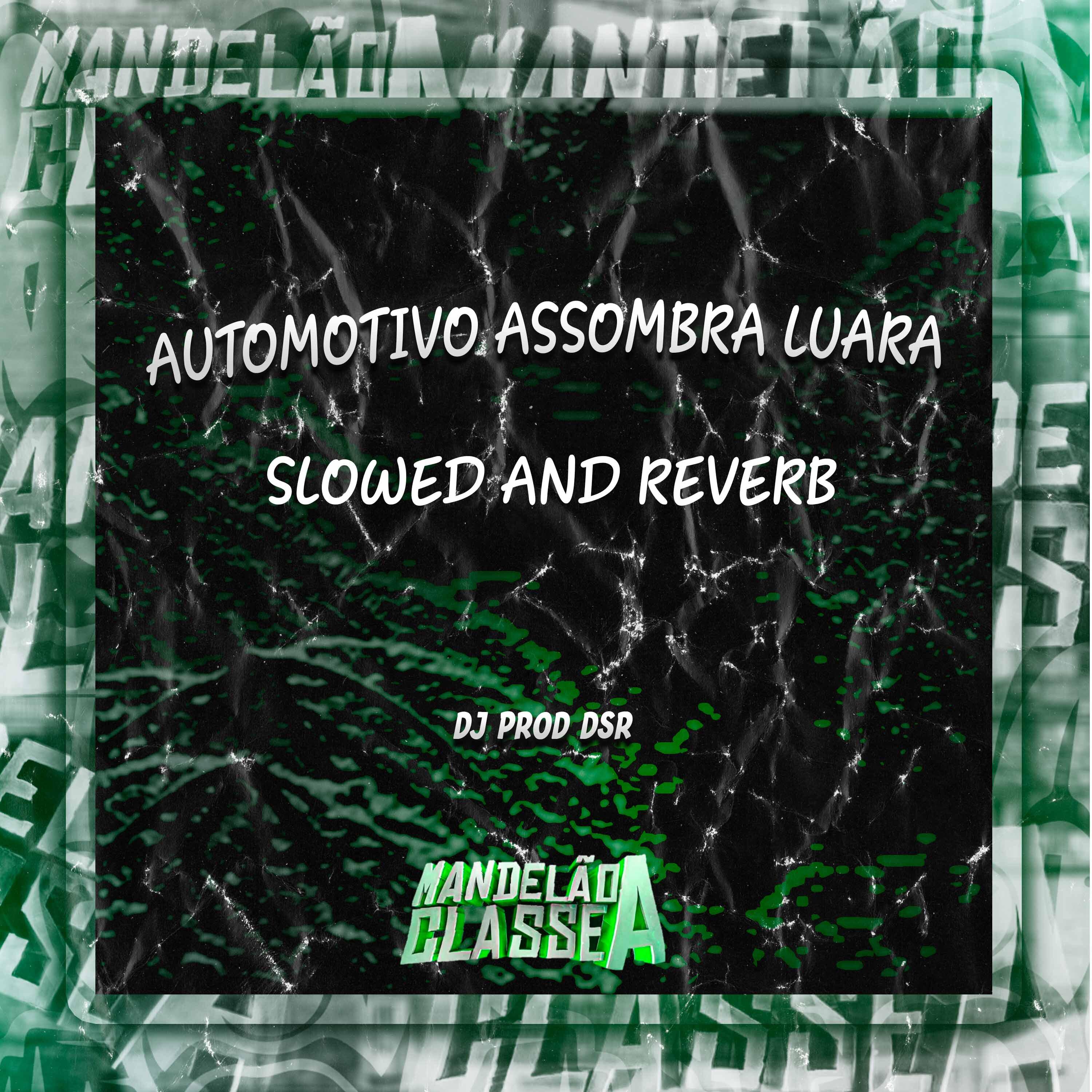 Постер альбома Automotivo Assombra Luara Slowed And Reverb