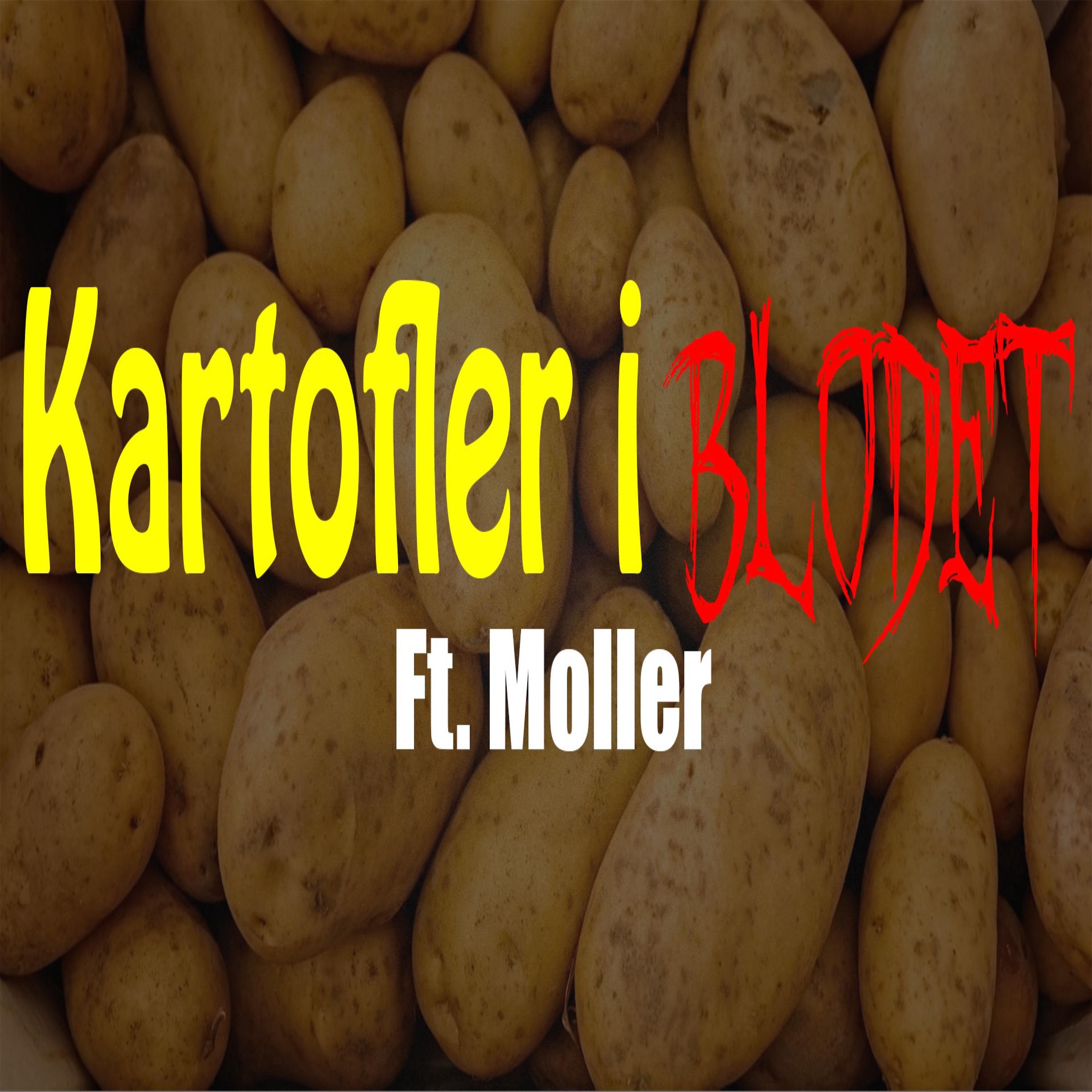 Постер альбома Kartofler I Blodet (feat. Moller)