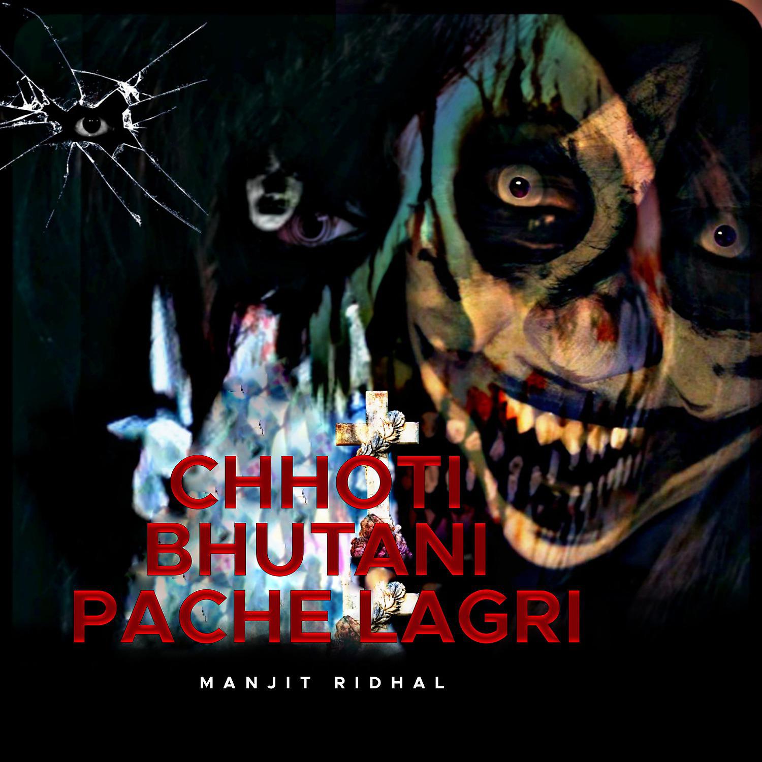 Постер альбома Chhoti Bhutani Pache Lagri
