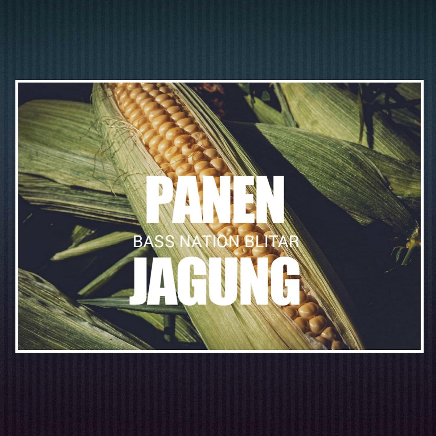 Постер альбома Panen Jagung