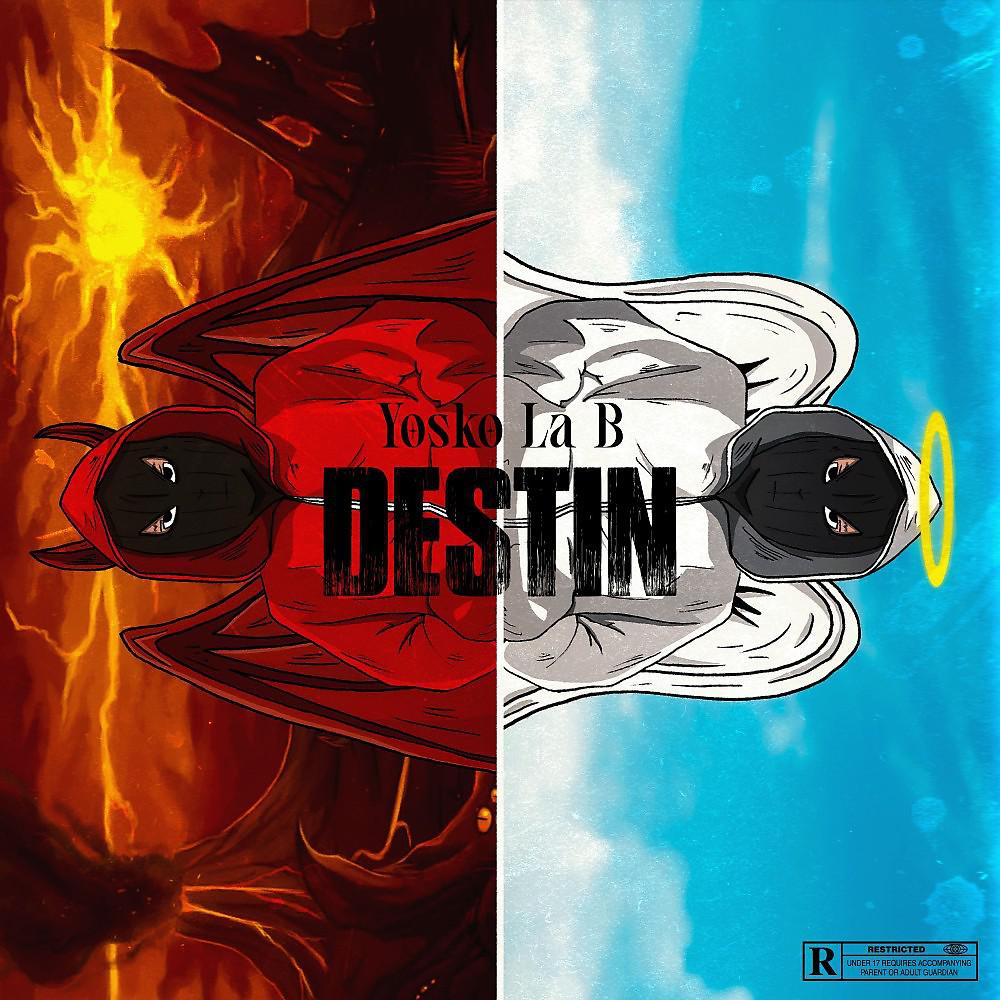 Постер альбома Destin