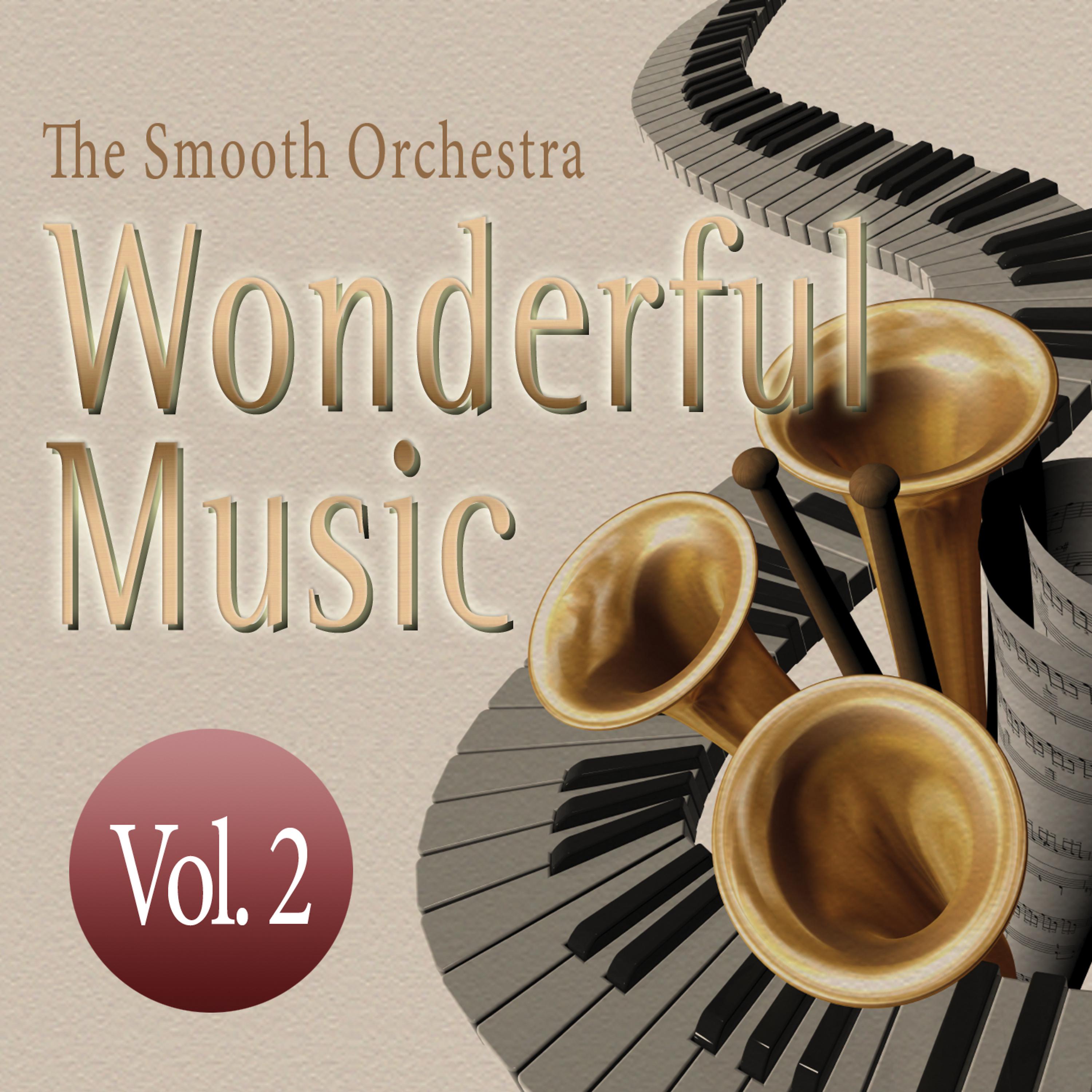 Постер альбома Wonderful Music Vol. 2
