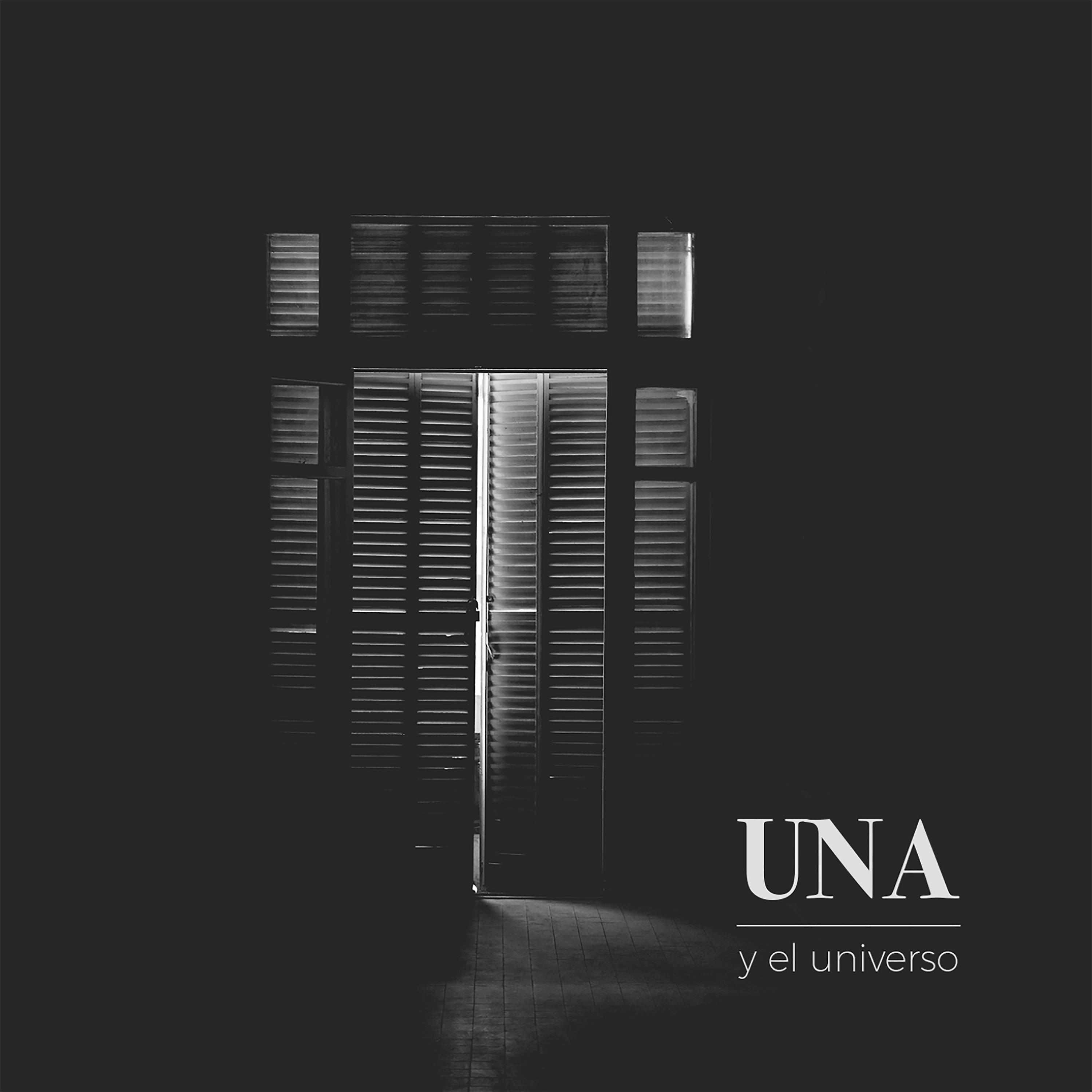 Постер альбома Una y el Universo
