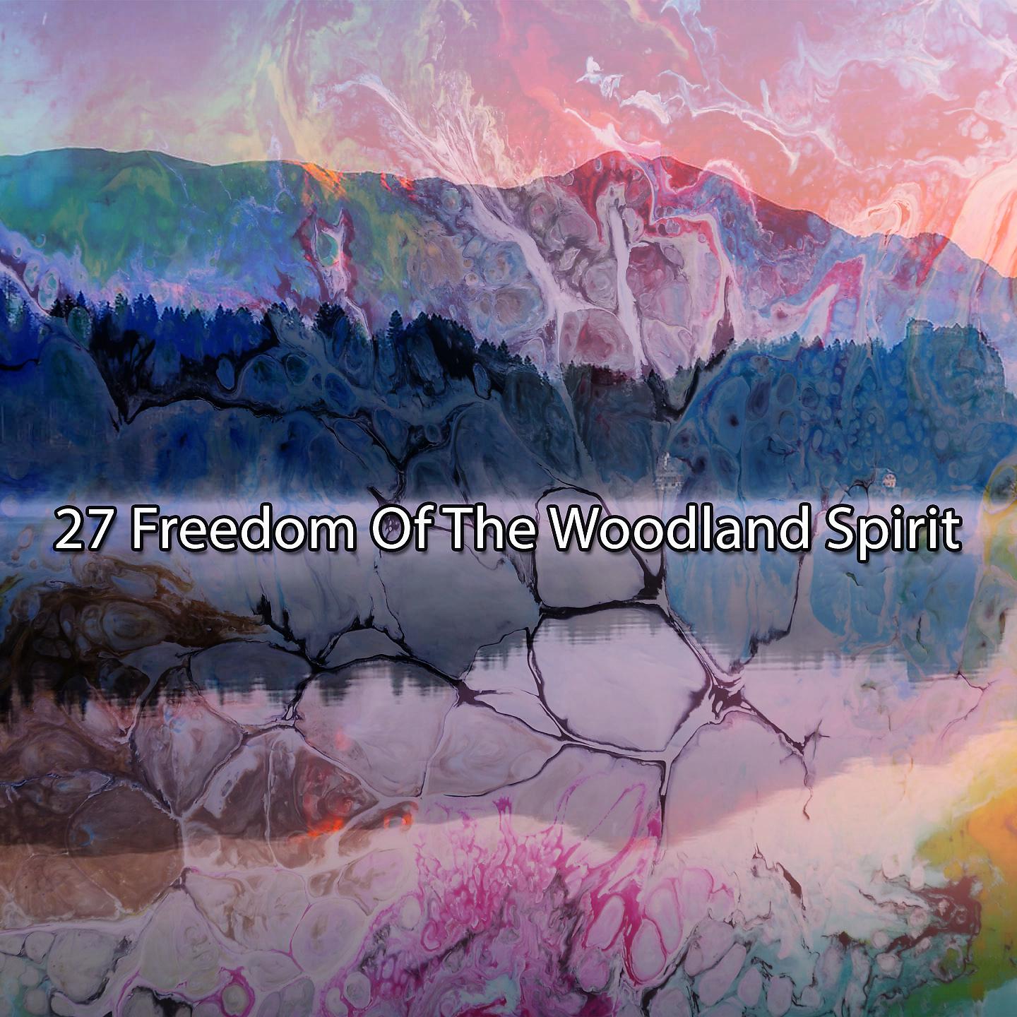 Постер альбома 27 Свобода лесного духа