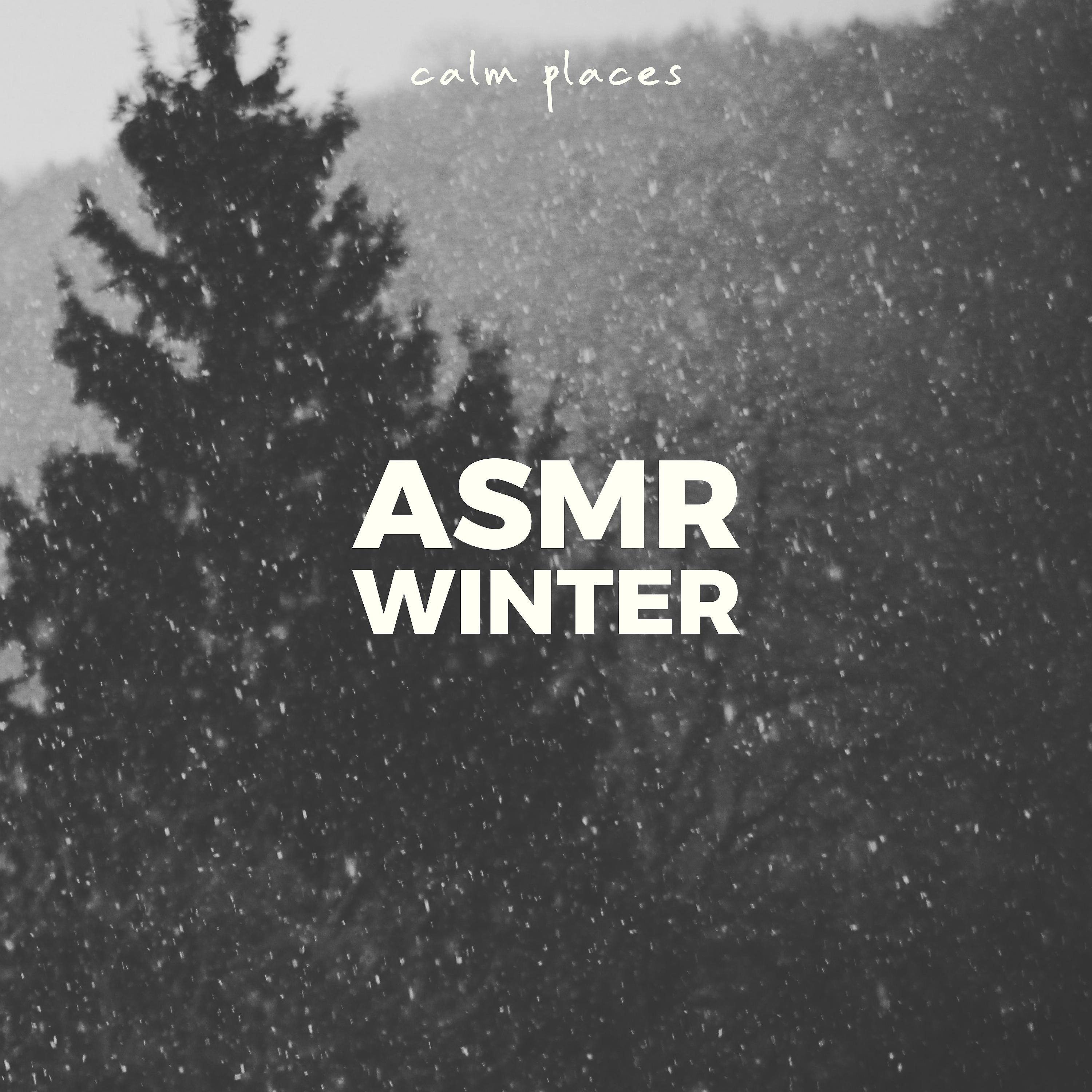 Постер альбома ASMR Winter