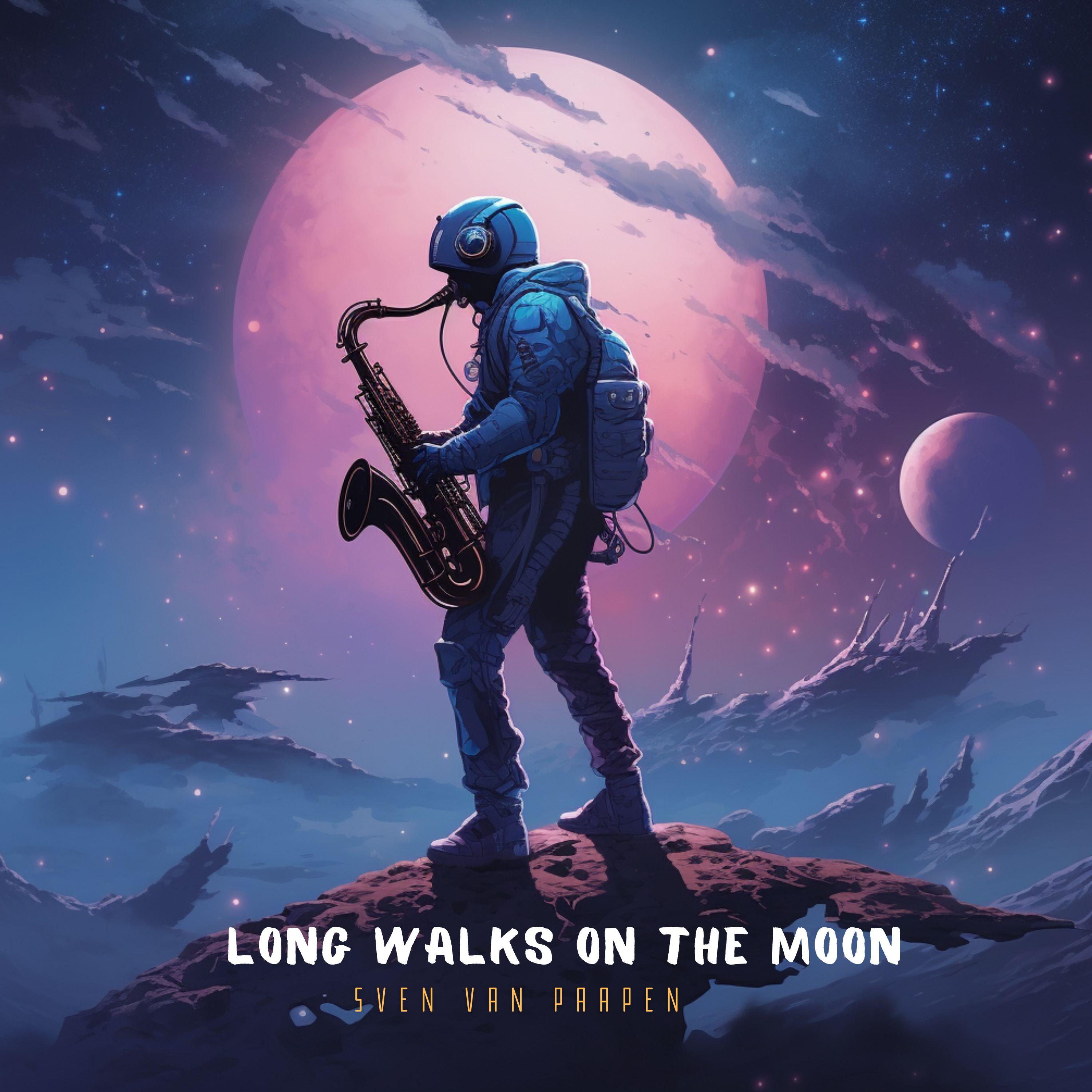 Постер альбома Long Walks on the Moon