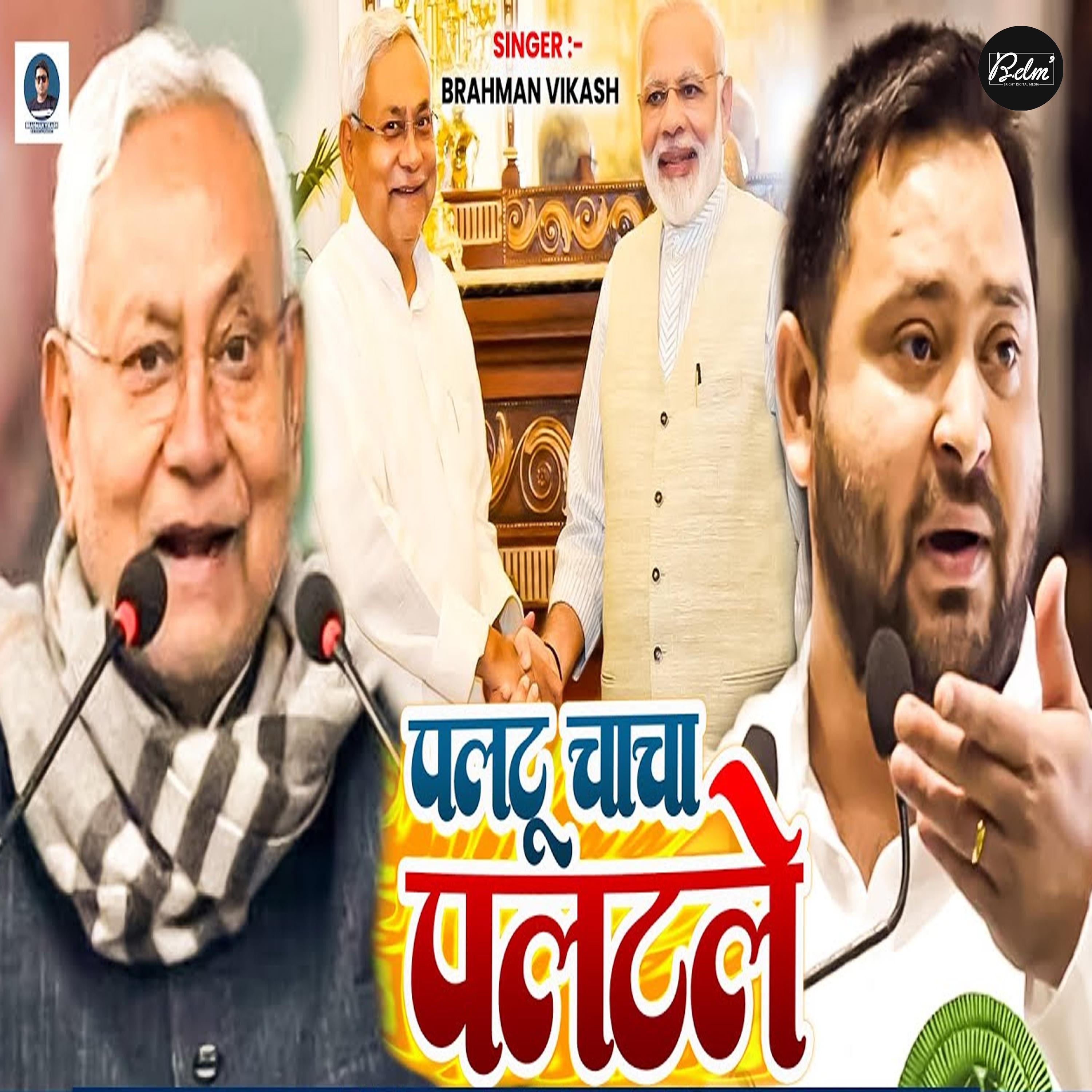 Постер альбома Paltu Chacha Palatle