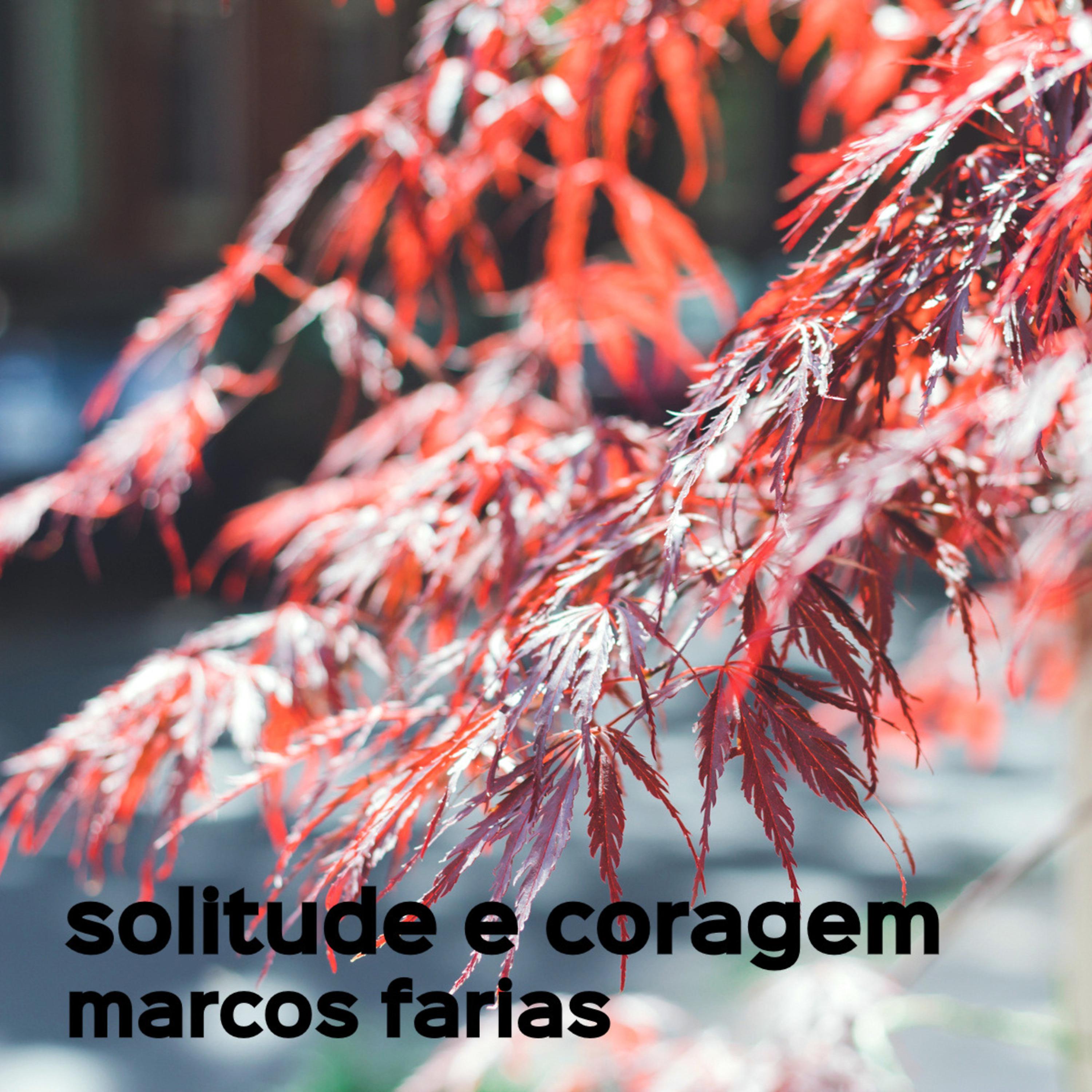 Постер альбома Solitude e Coragem