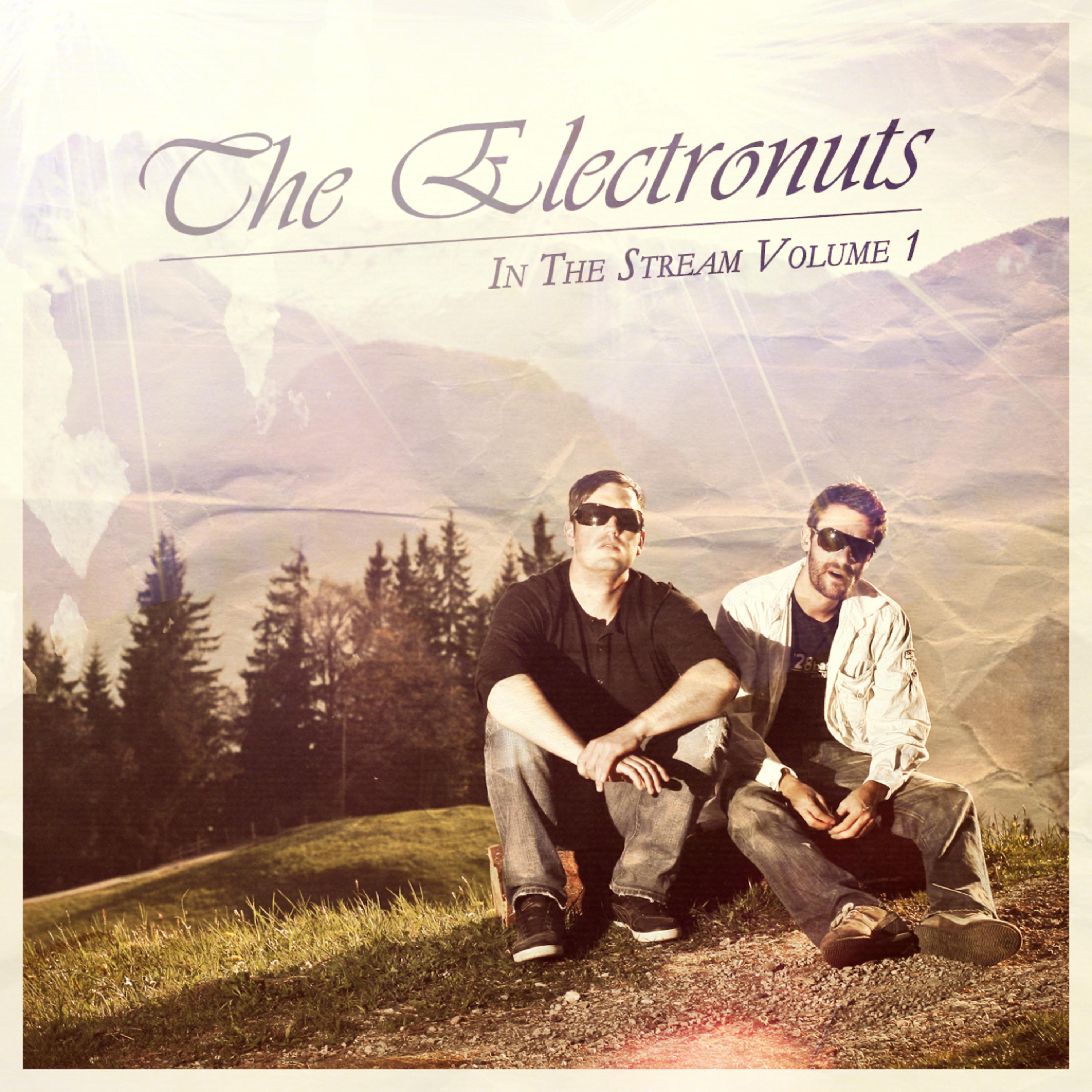 Постер альбома The Electronuts in The Stream Vol.1