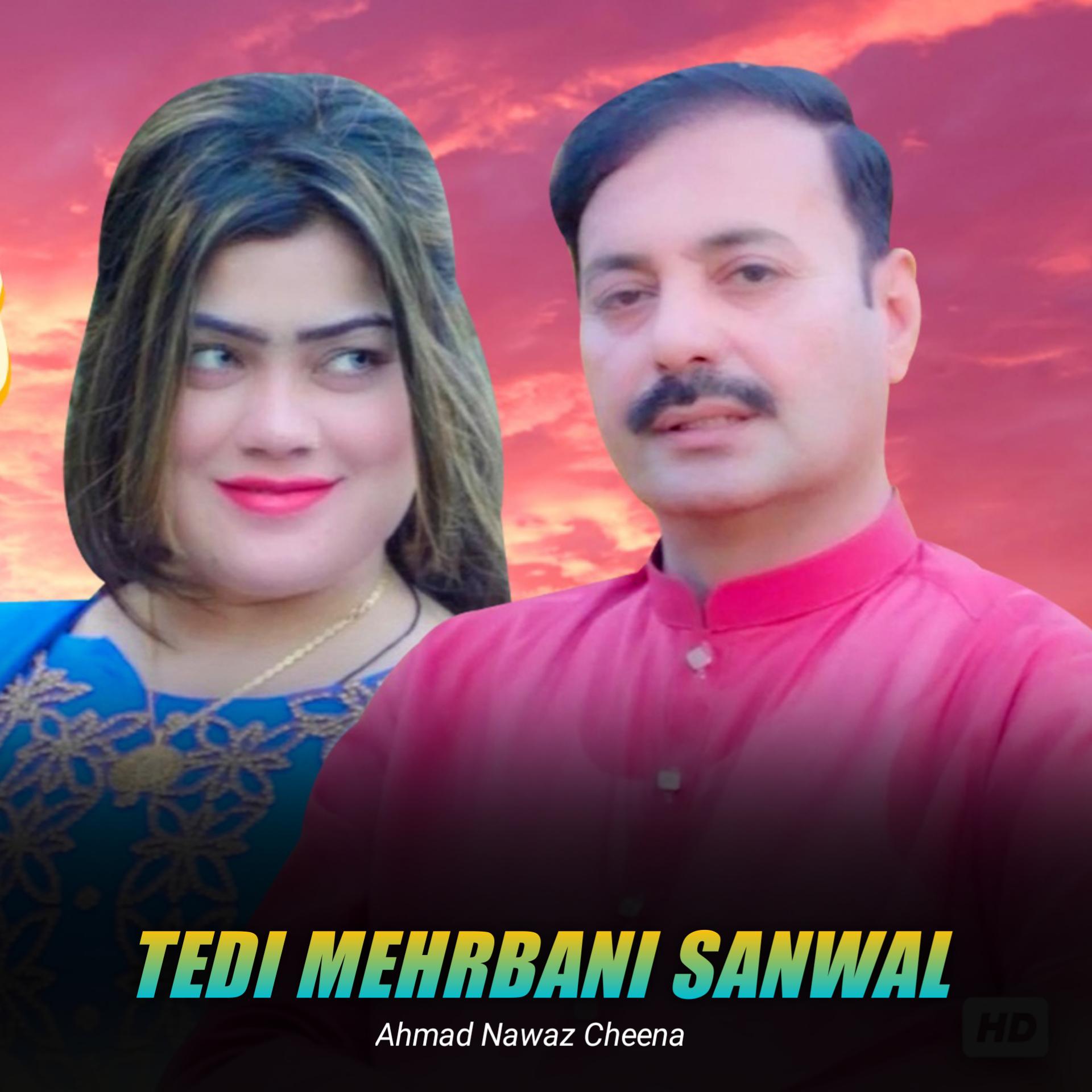 Постер альбома Tedi Mehrbani Sanwal