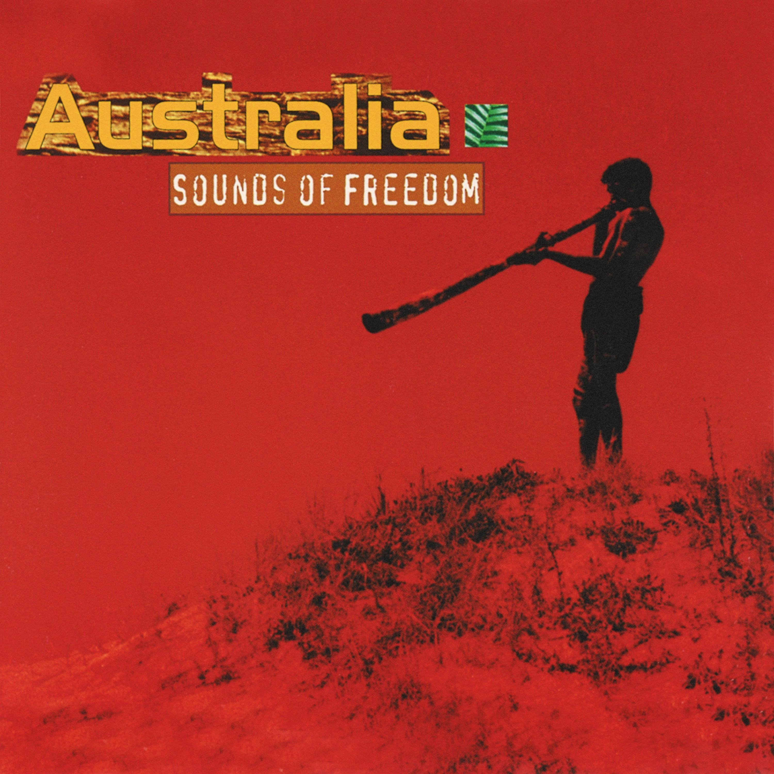 Постер альбома Sounds of Freedom - Single